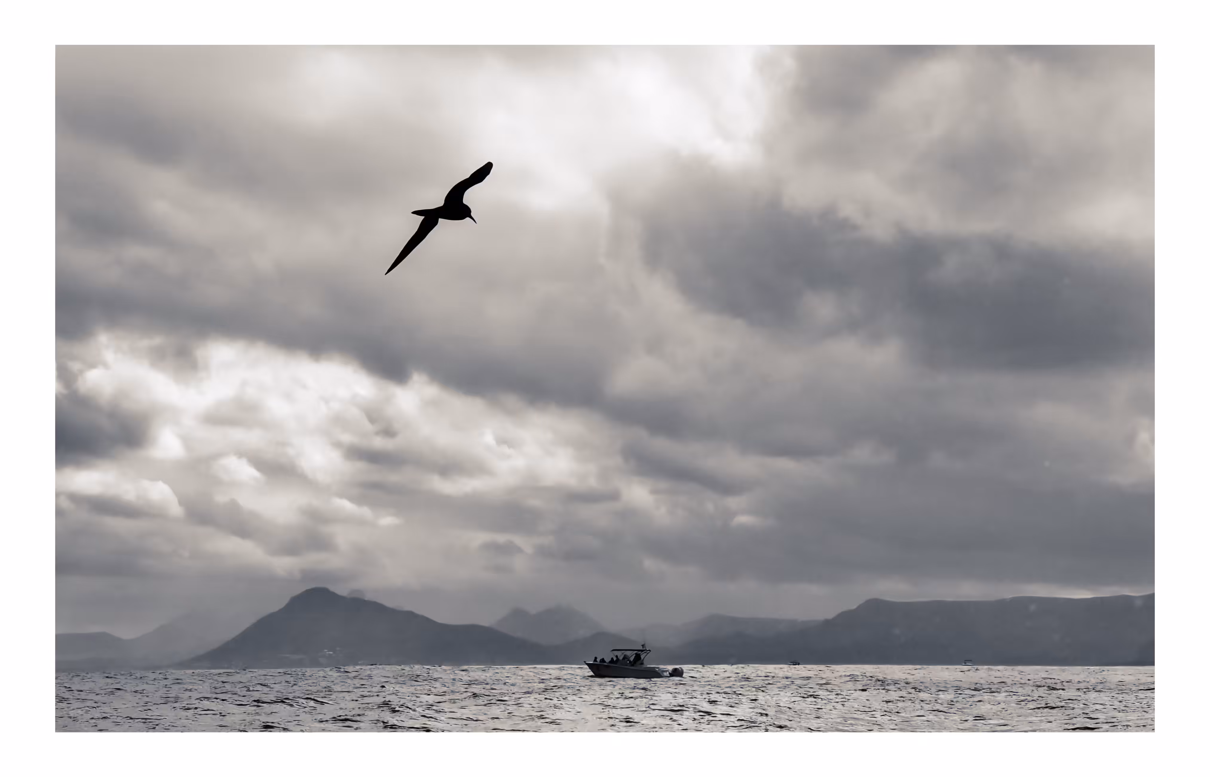 Between Sky and Sea
