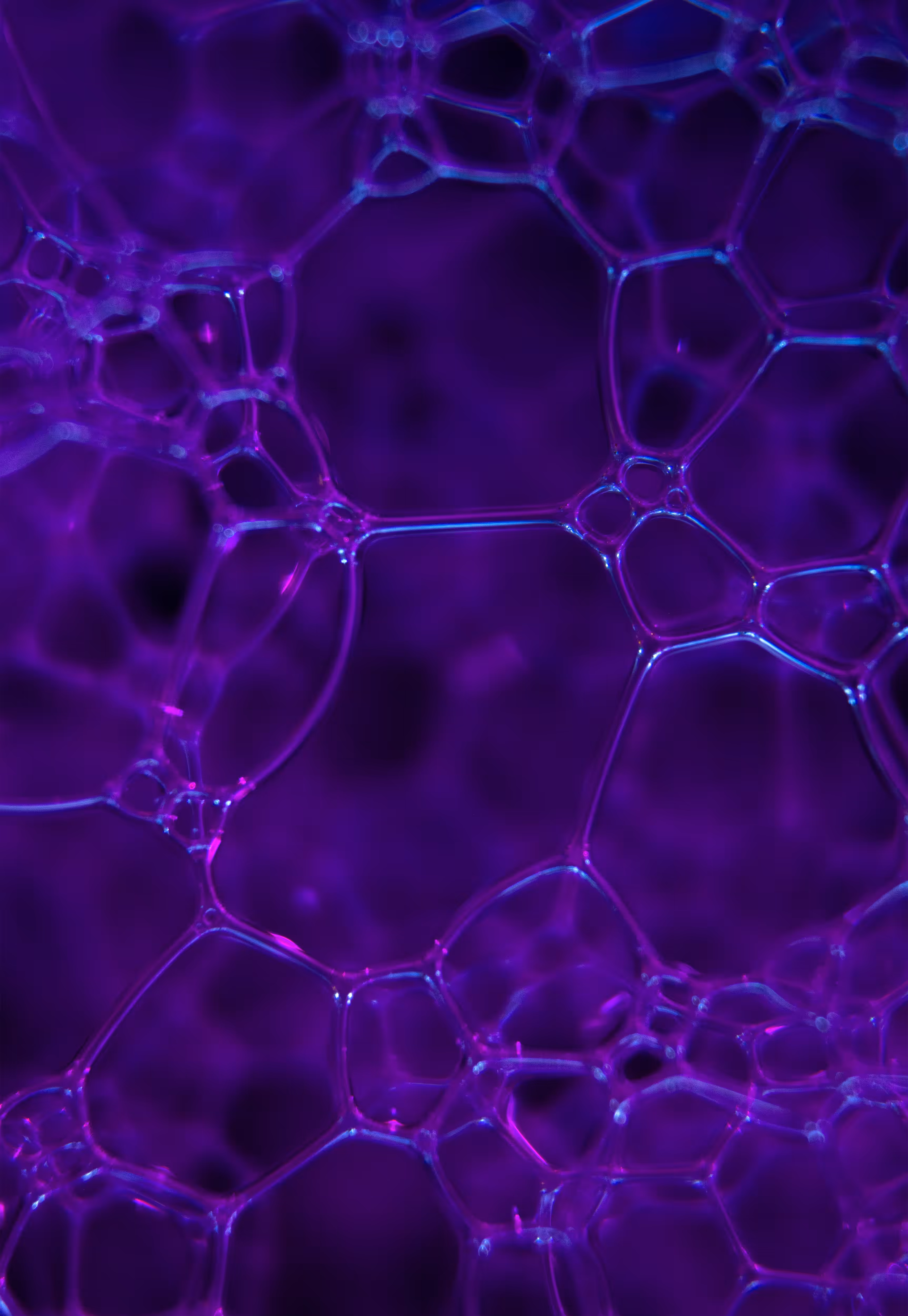 Abstract World of Soap Bubbles: #47 Bubbles