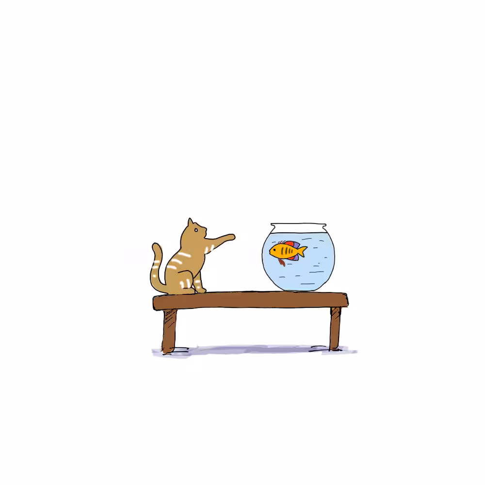 The story of fish and humans #29