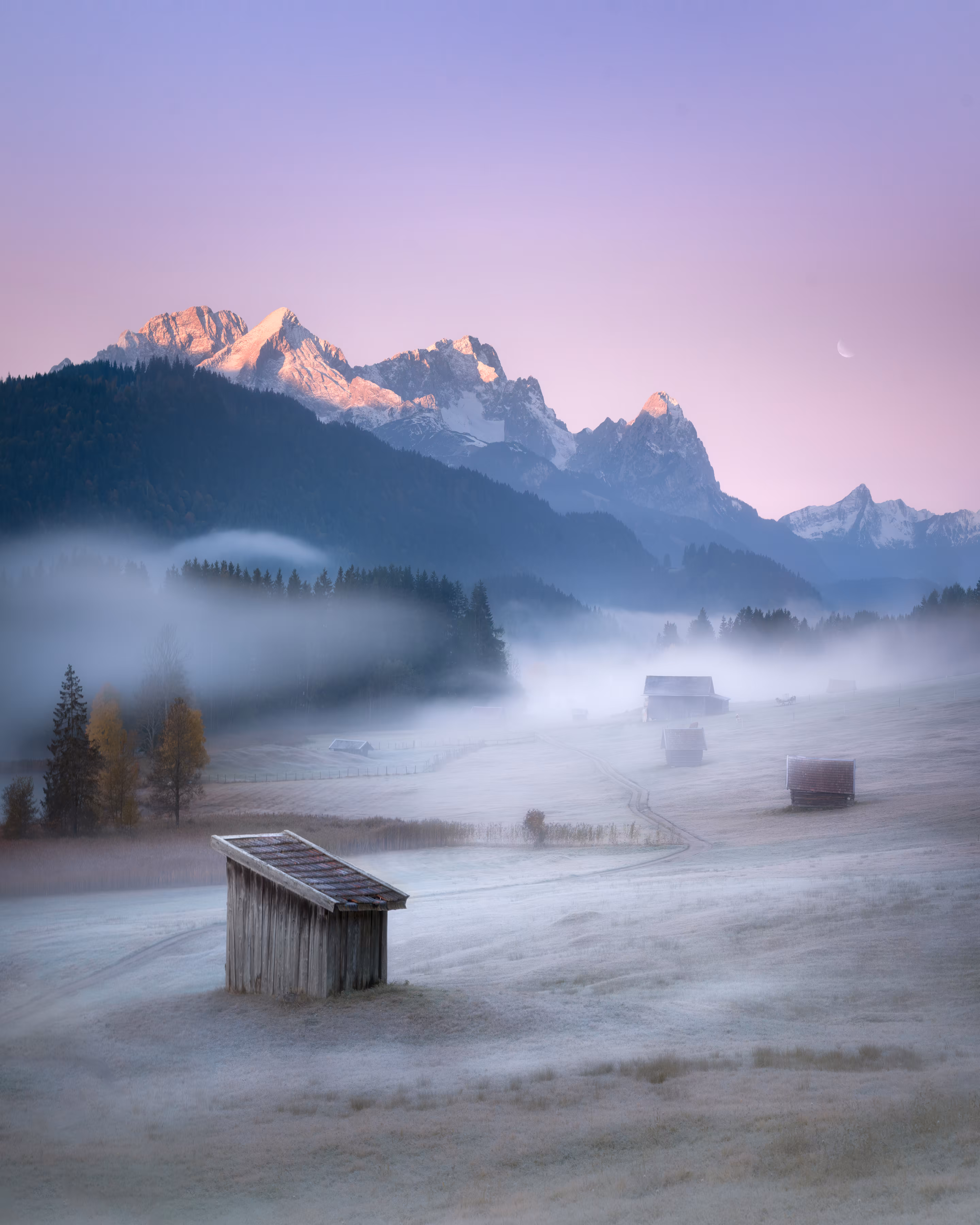 Pastel Morning