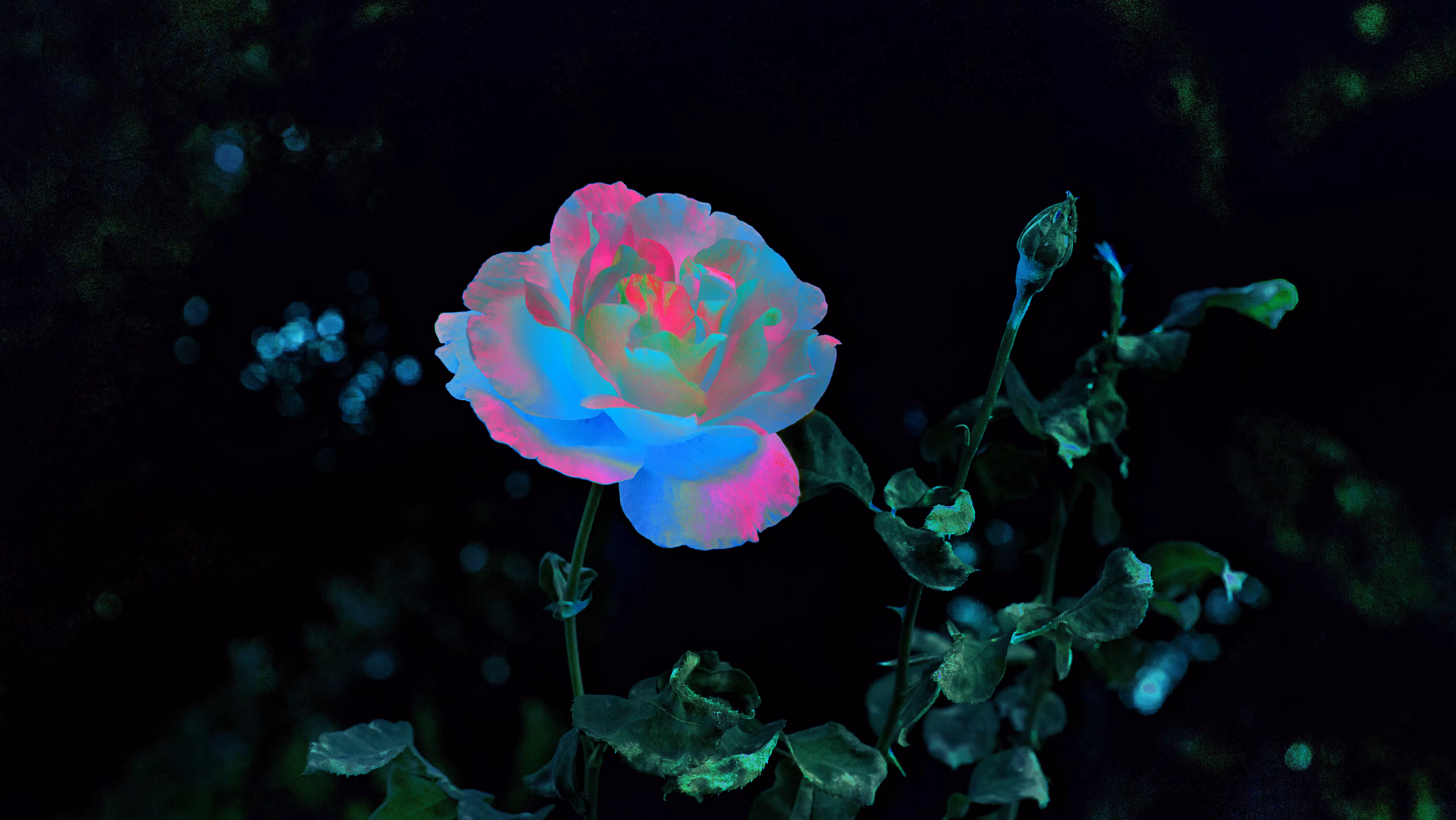All The Flowers To You #7