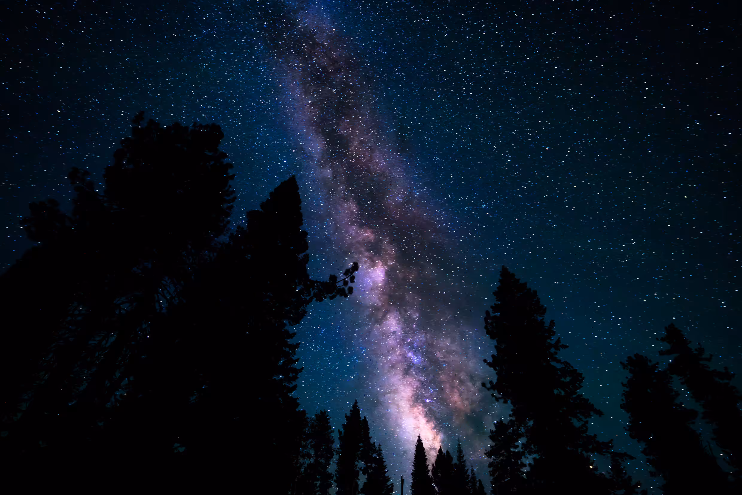Starry Night