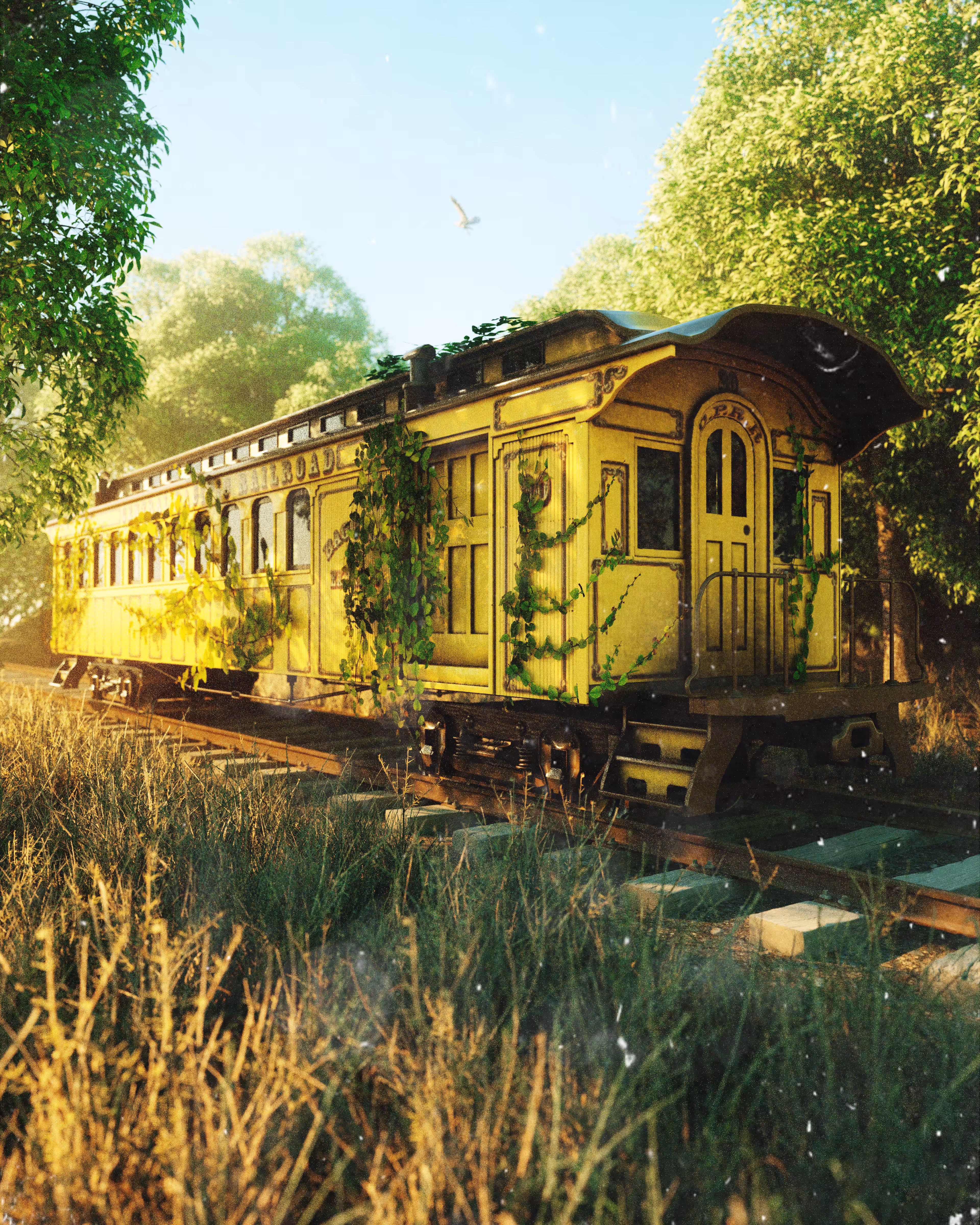 Train Peace🌱🌻