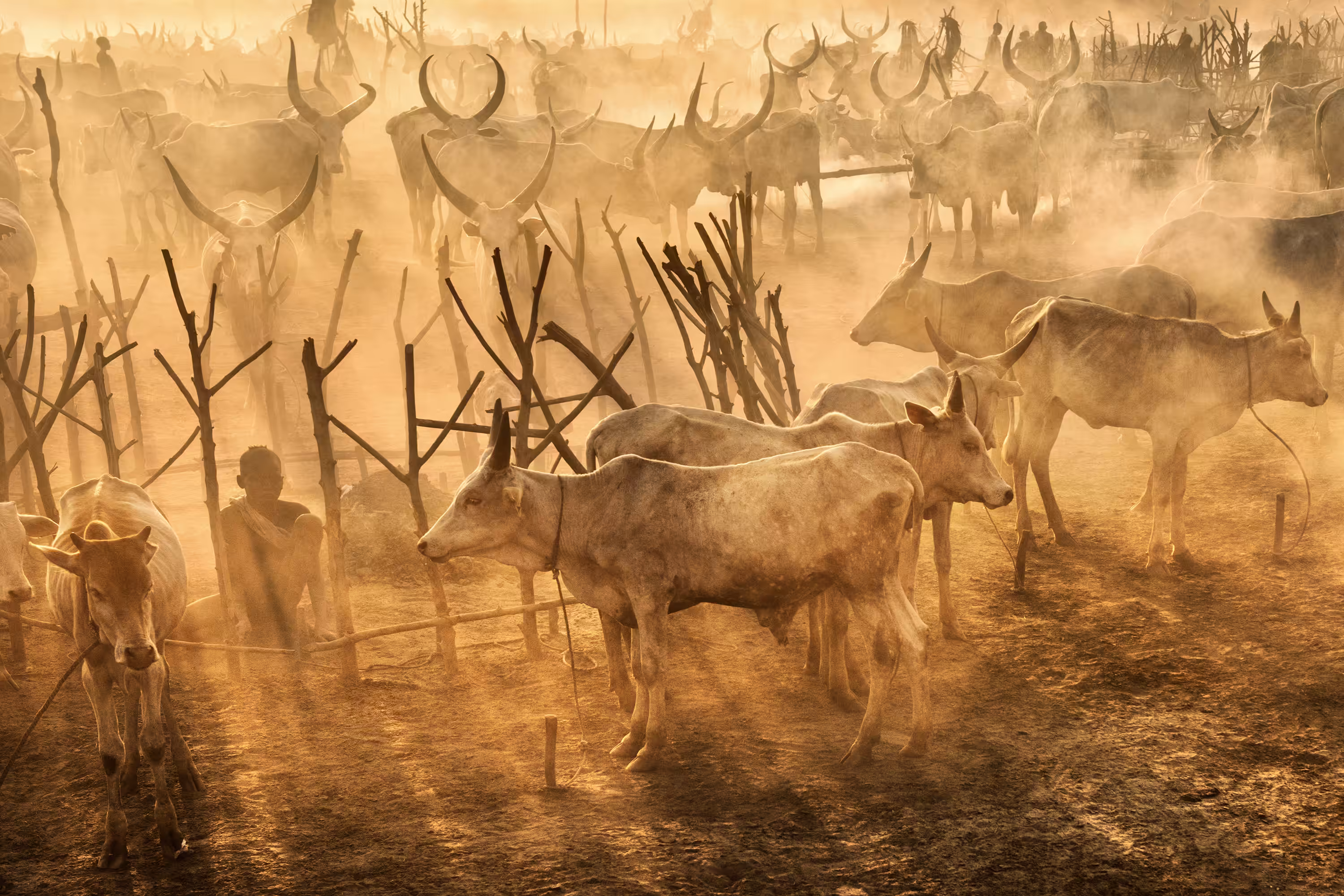 Rays of Dust #94