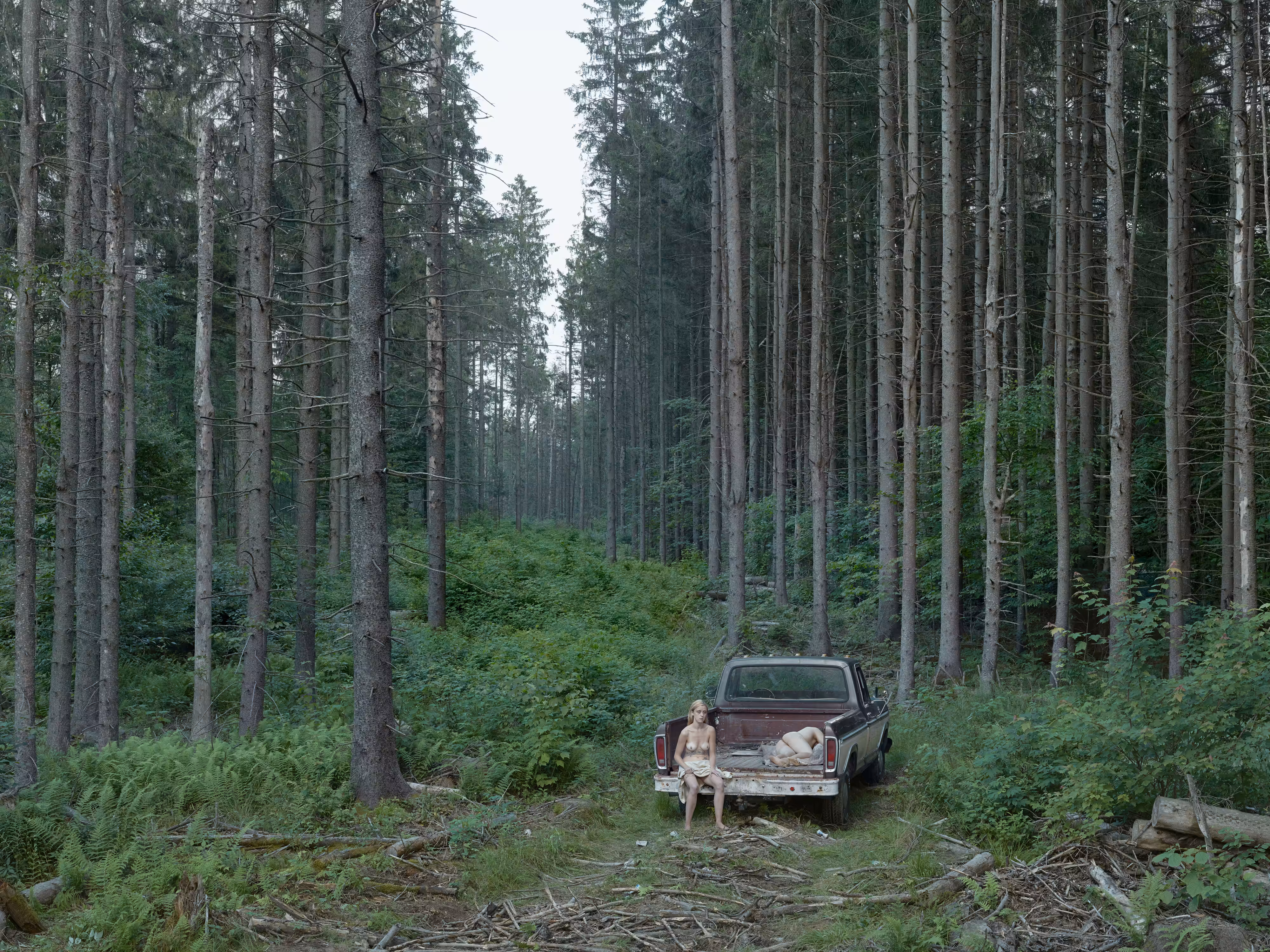 Pickup Truck, 2014