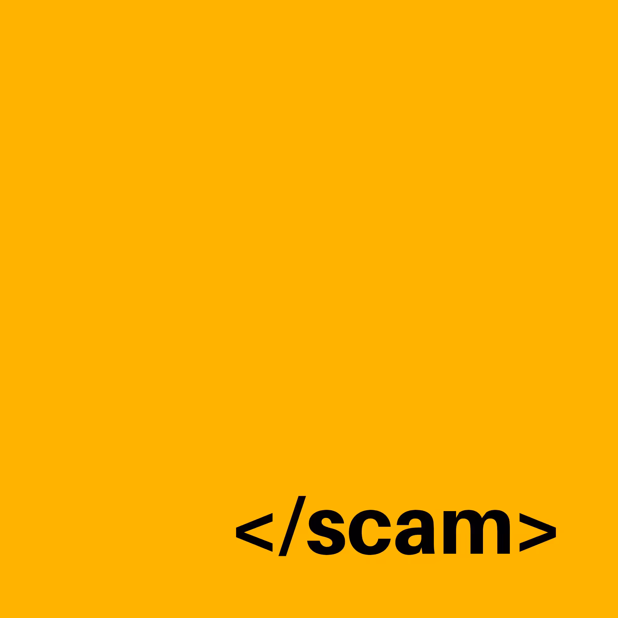scam.jpg
