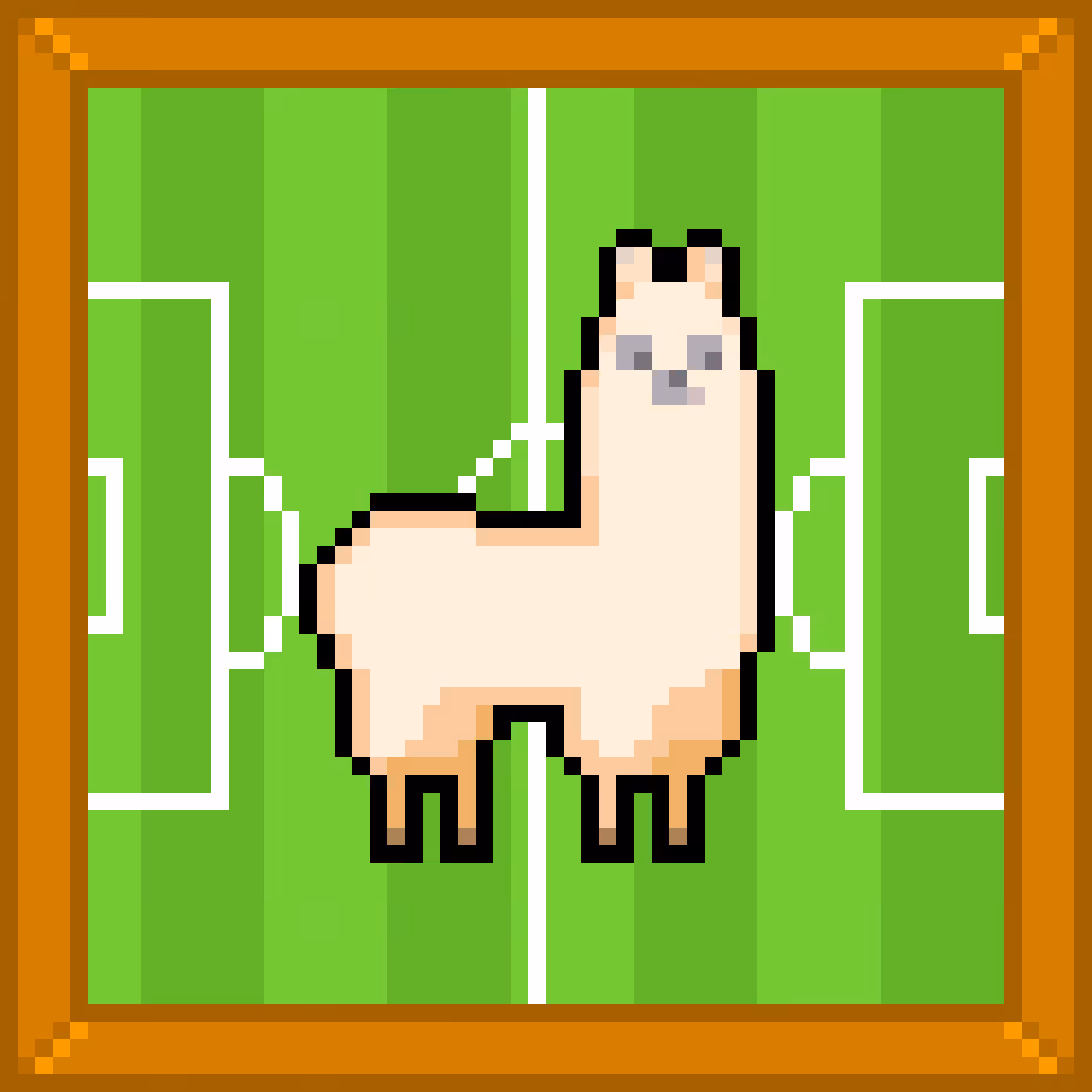 trip to a soccer field