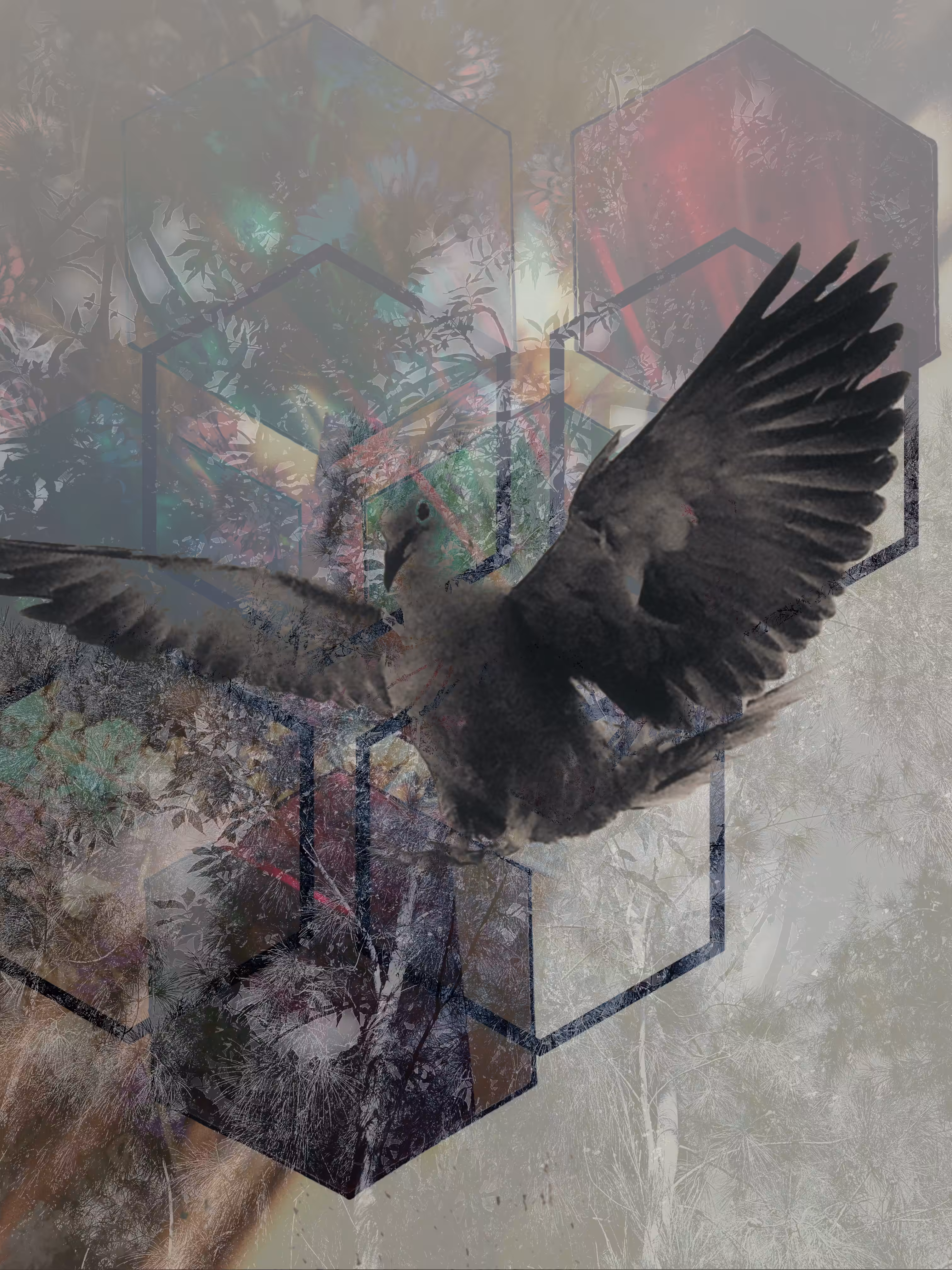 The Avian Botanist