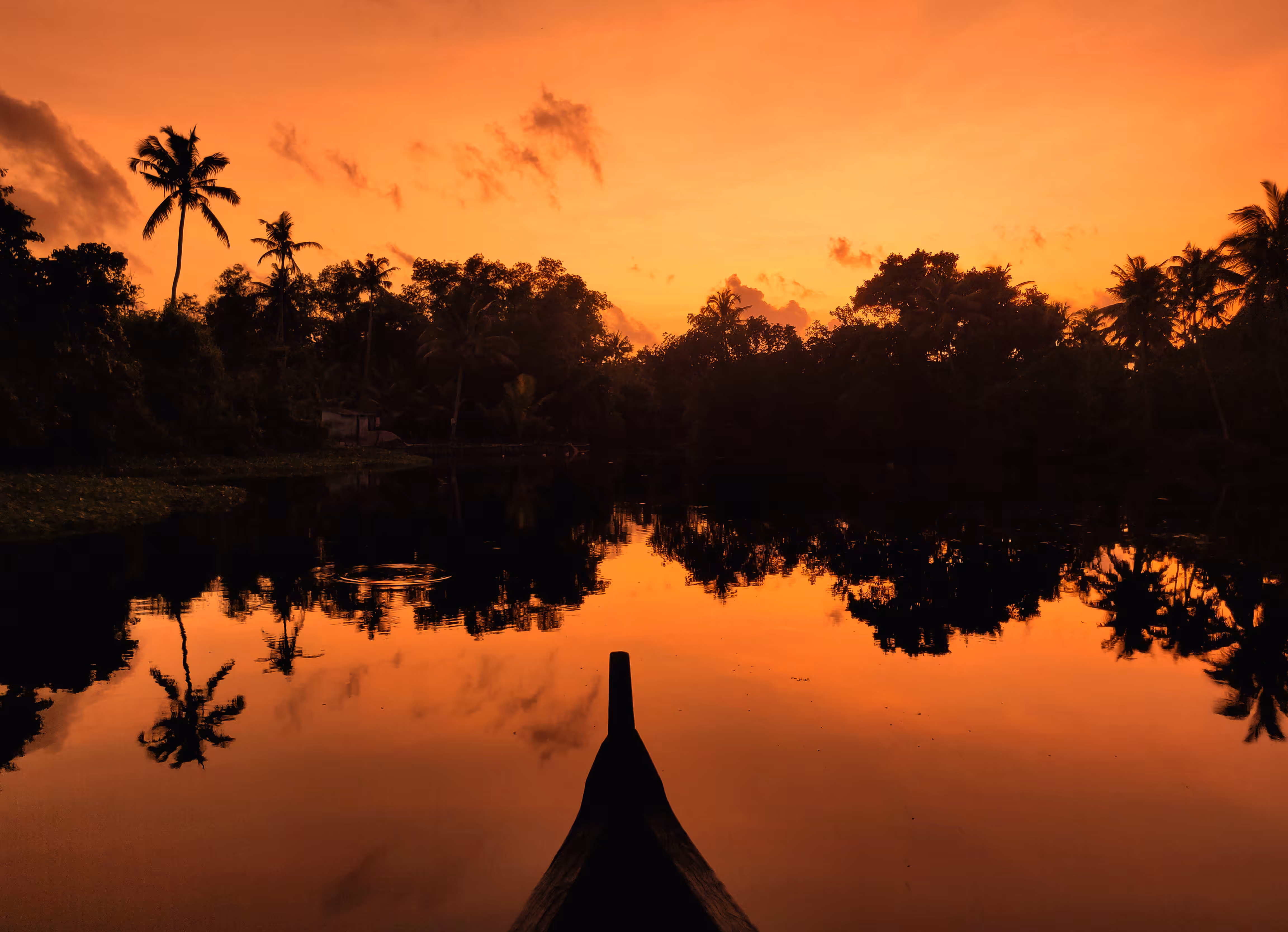 Serene Reflection