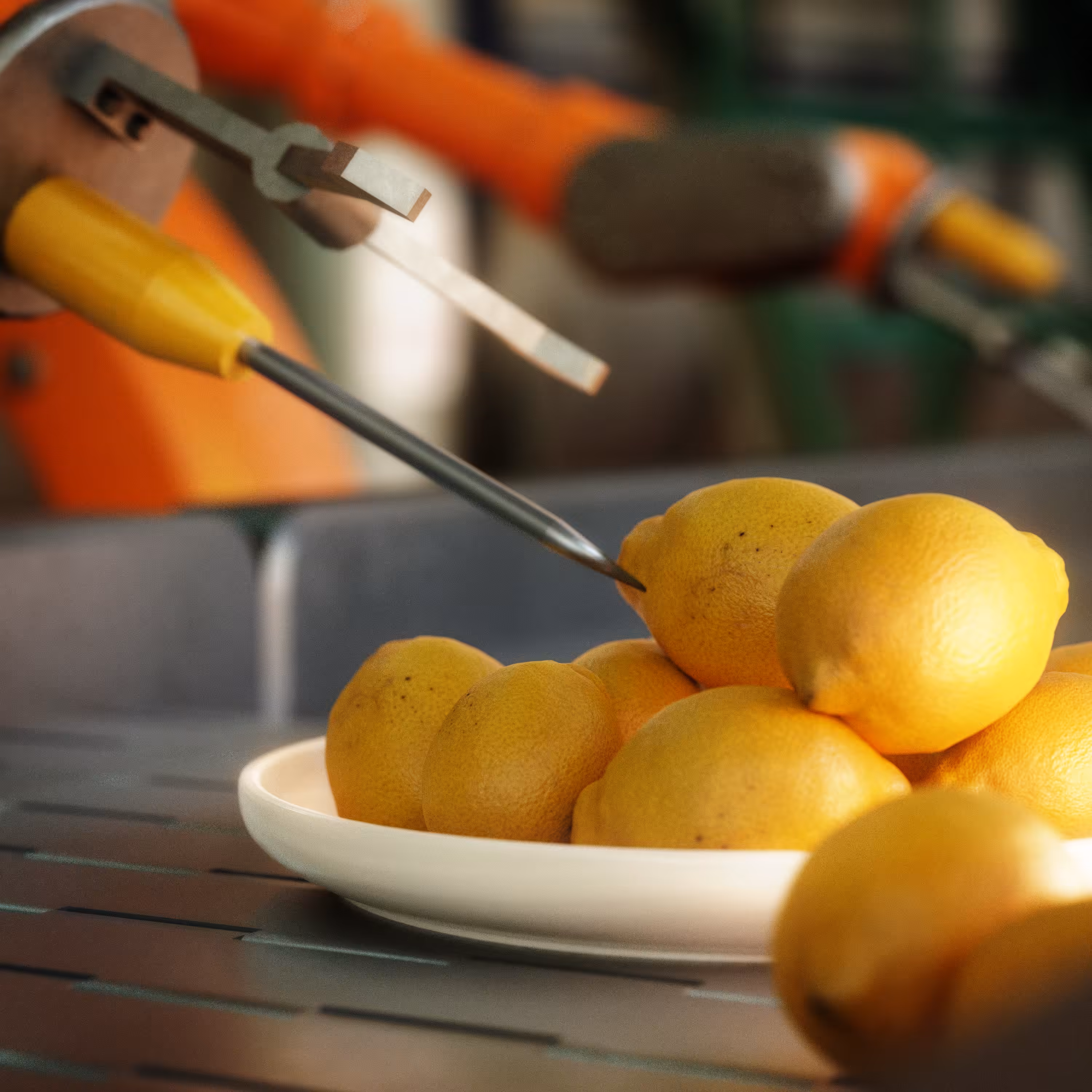 20210610_limones