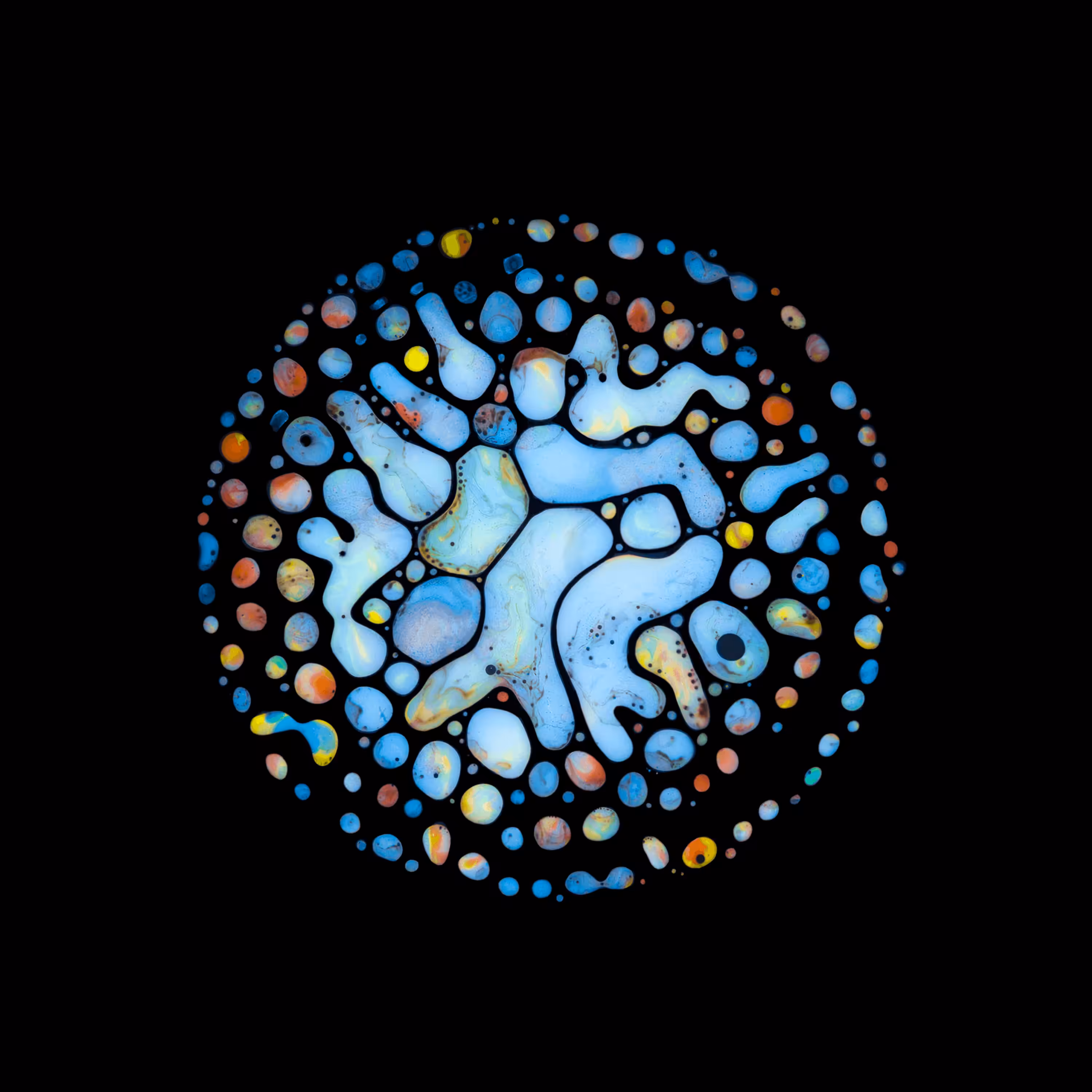 Haemotopoiesis #99