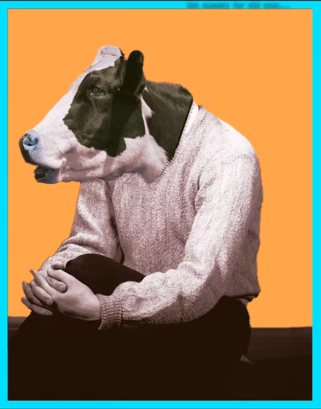 Old Cow