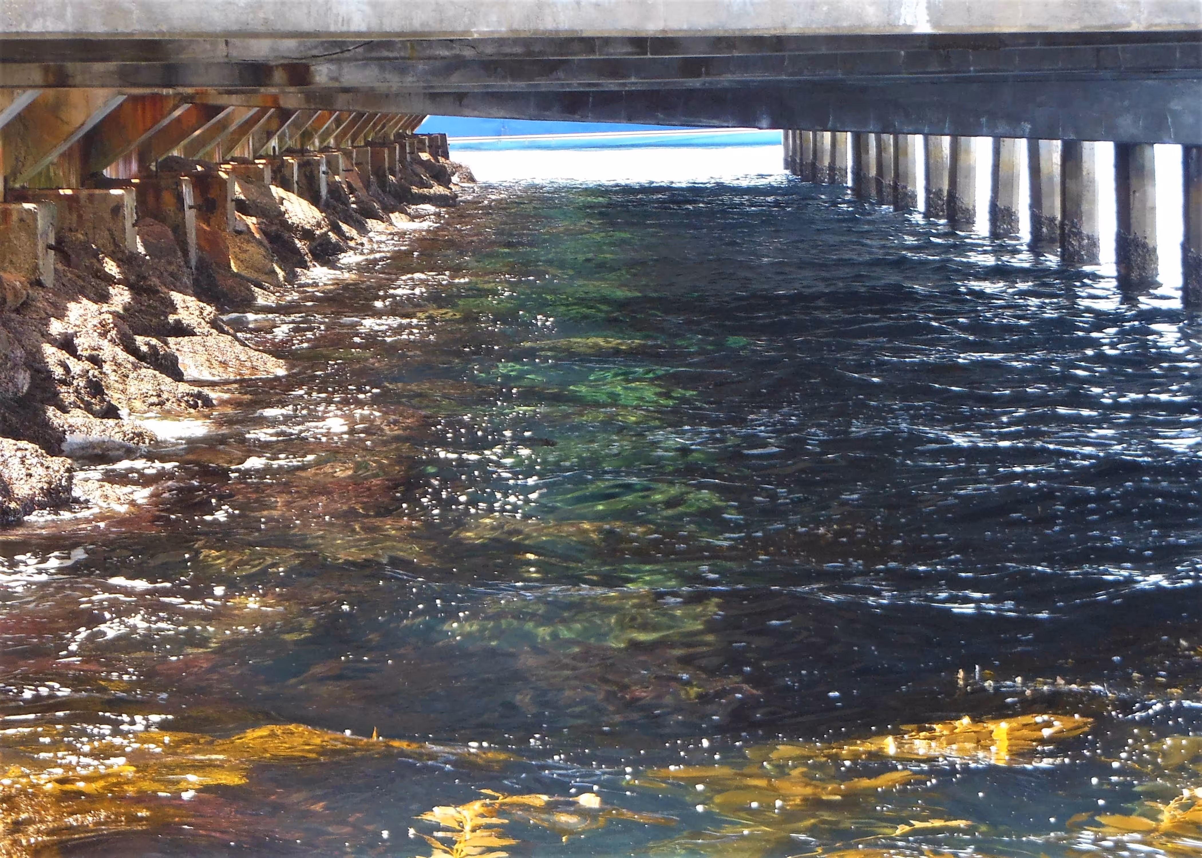 Passage Under the Pier
