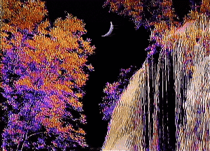 _t o r r e n t s