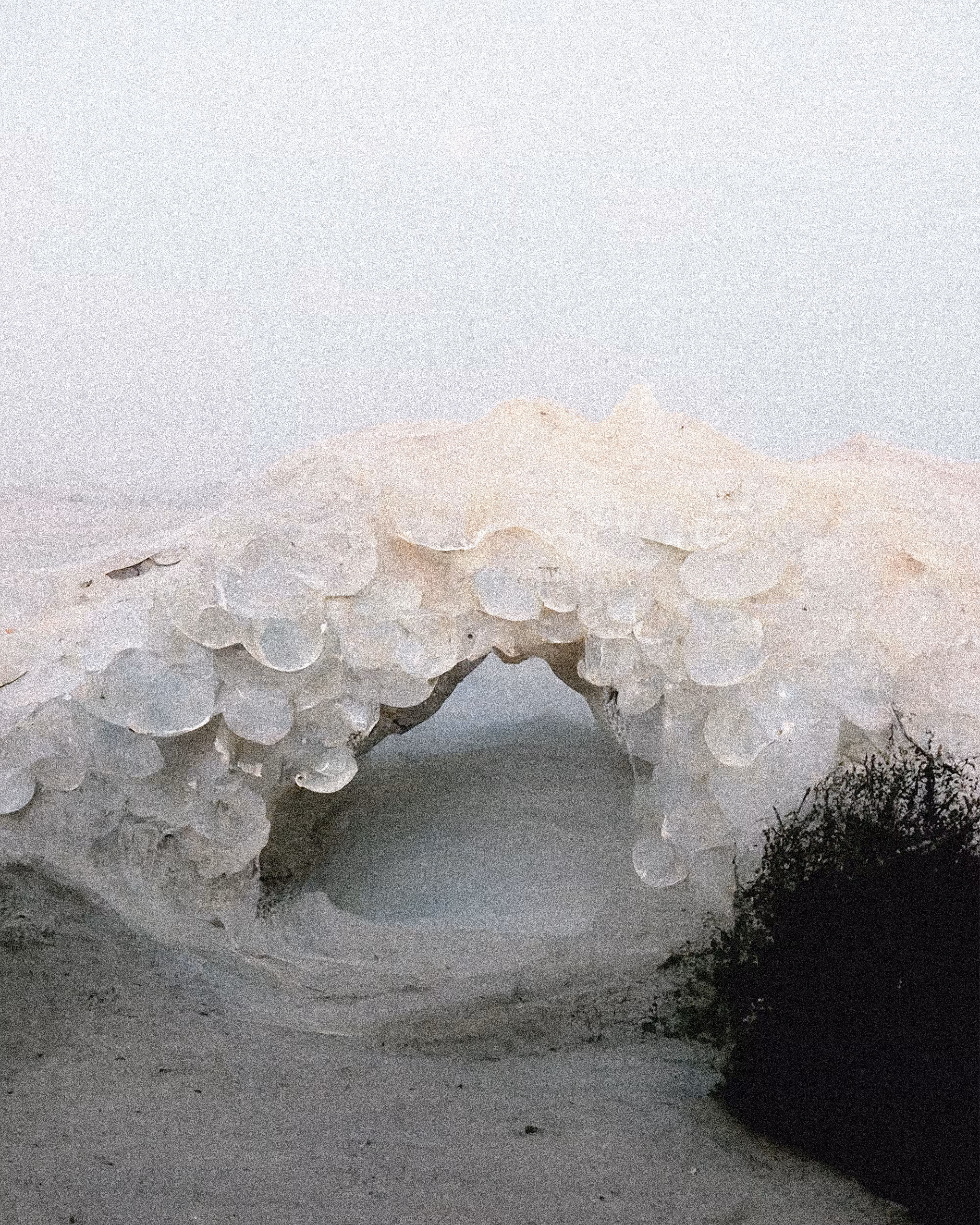 Jelly water