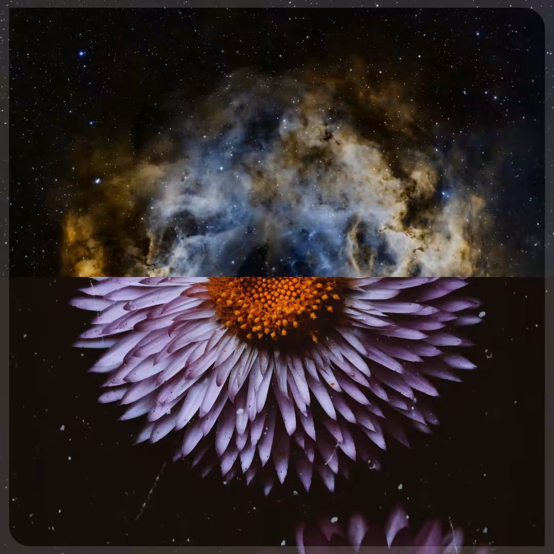 The Parallel Universe 2FotosCollage