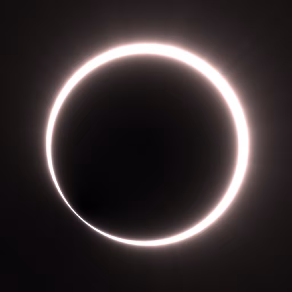 Totality #251