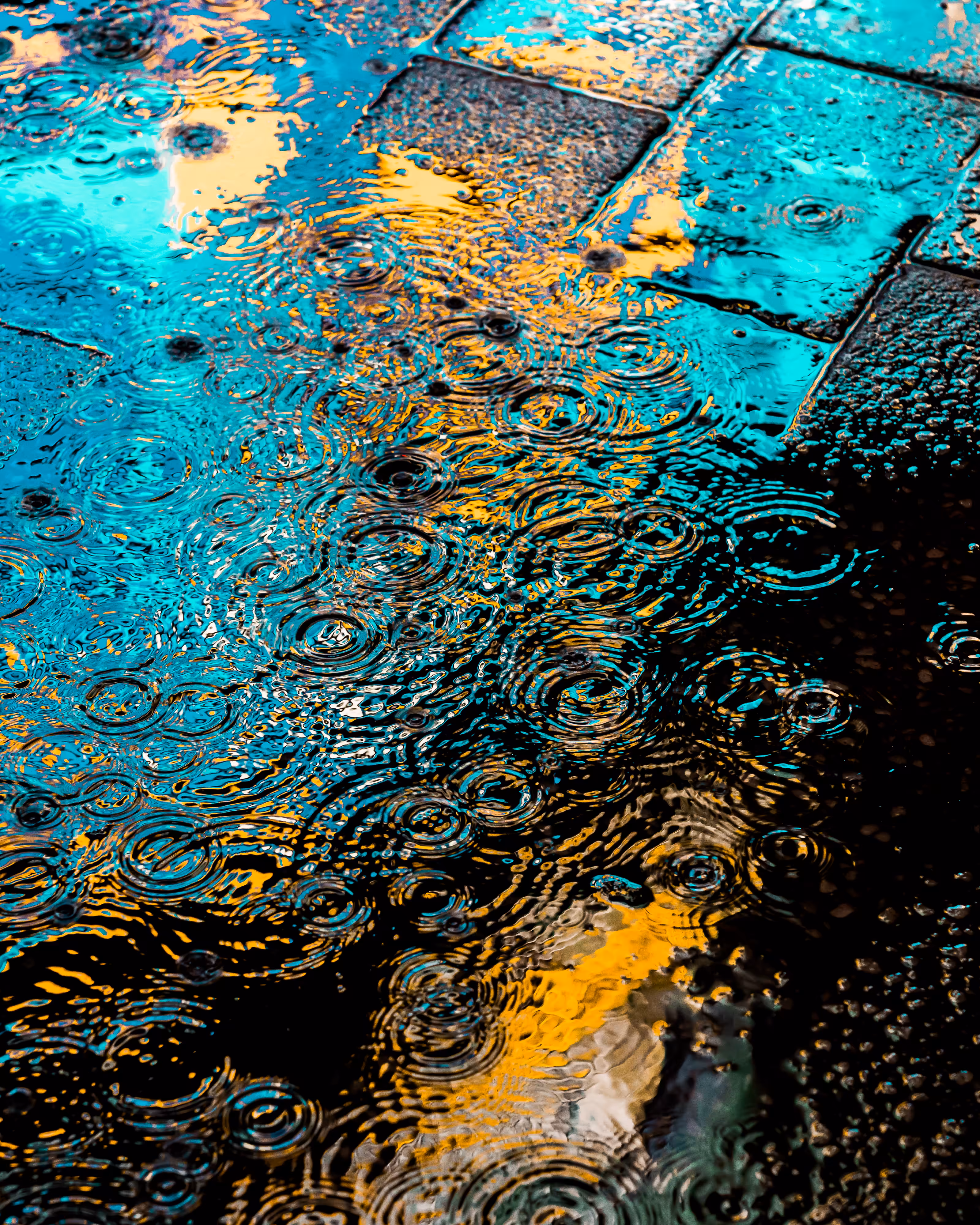 DRIP DROP: DRIP #210