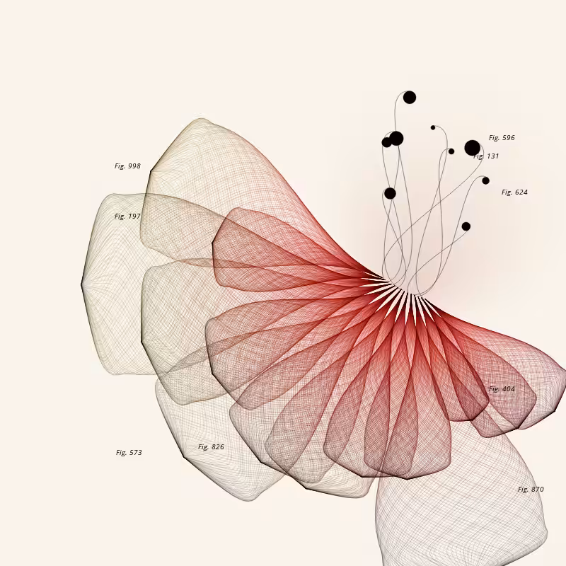 Herbarium #1095