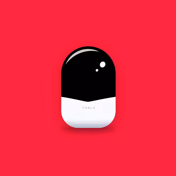 Pokey SE: Tesla Bot