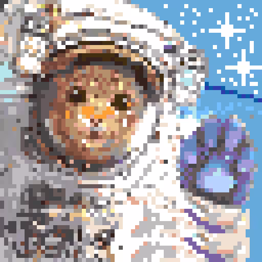 Space Cat