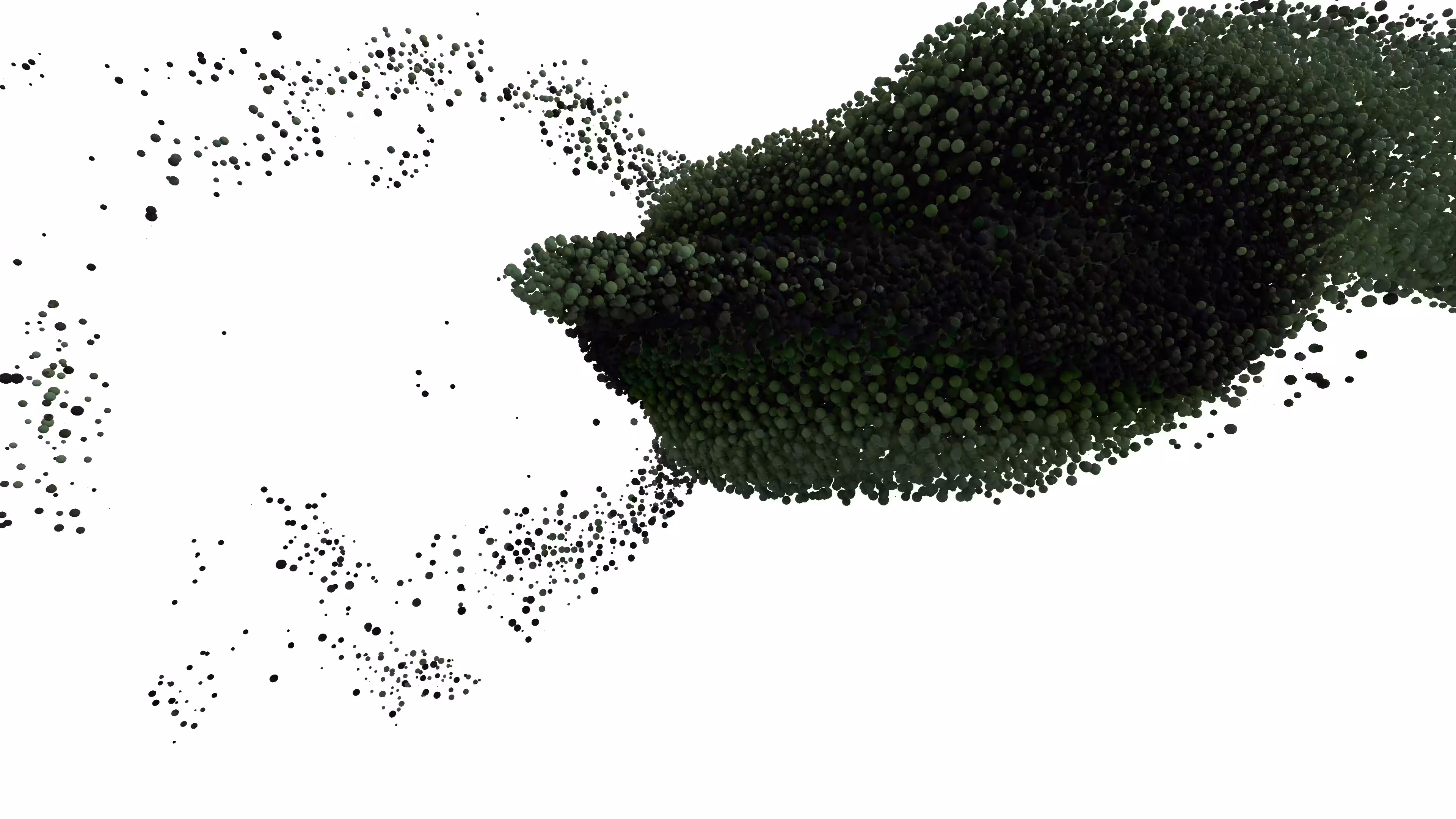 Studies of Tomorrow: Study of Tomorrow / Spectrum 088