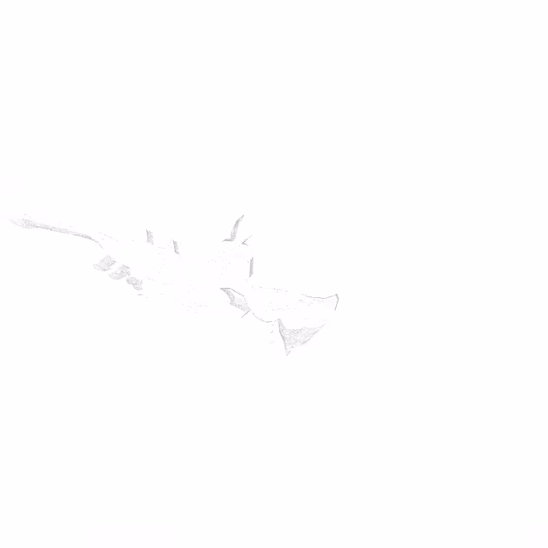 traces #12