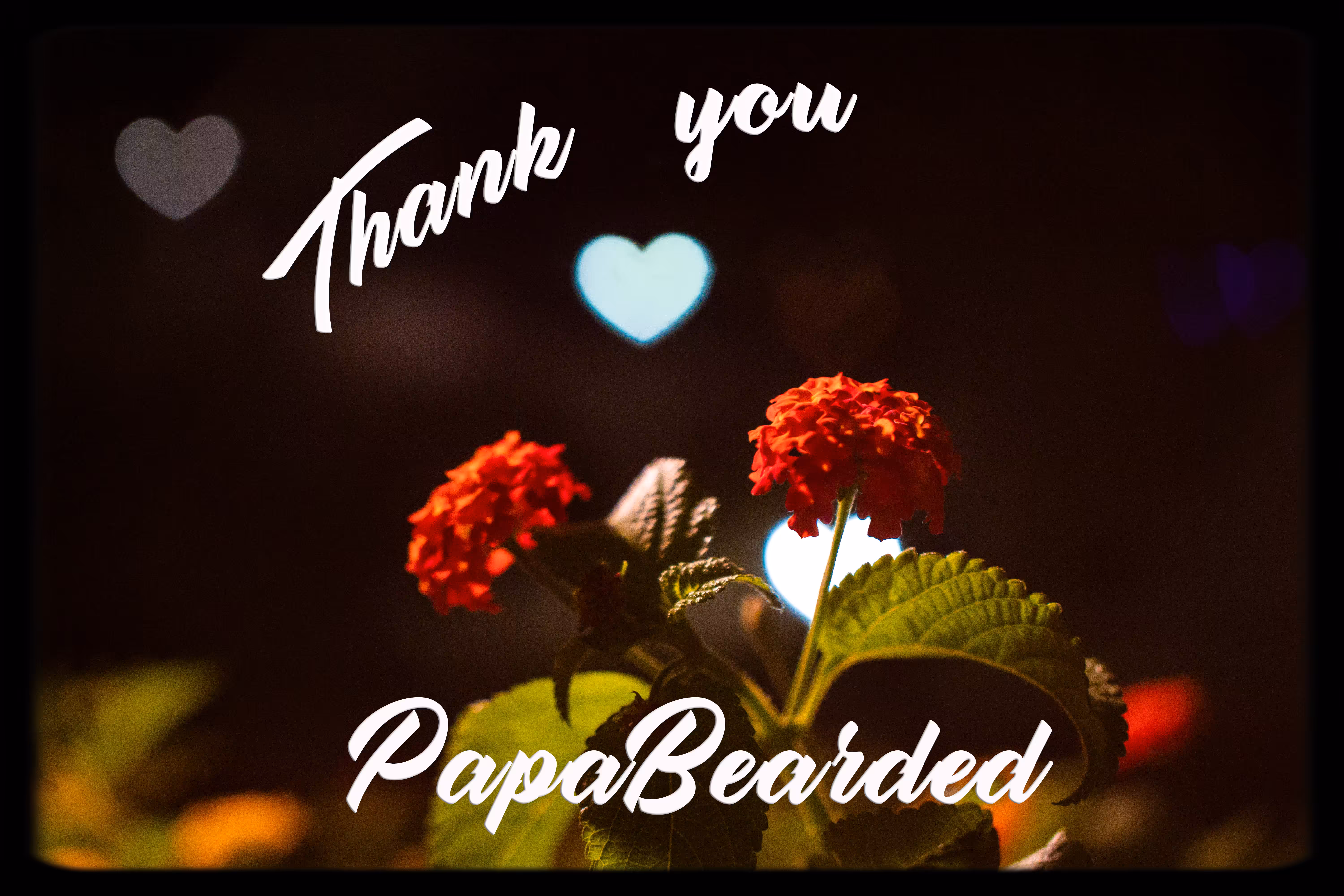 Thank You PapaBearded