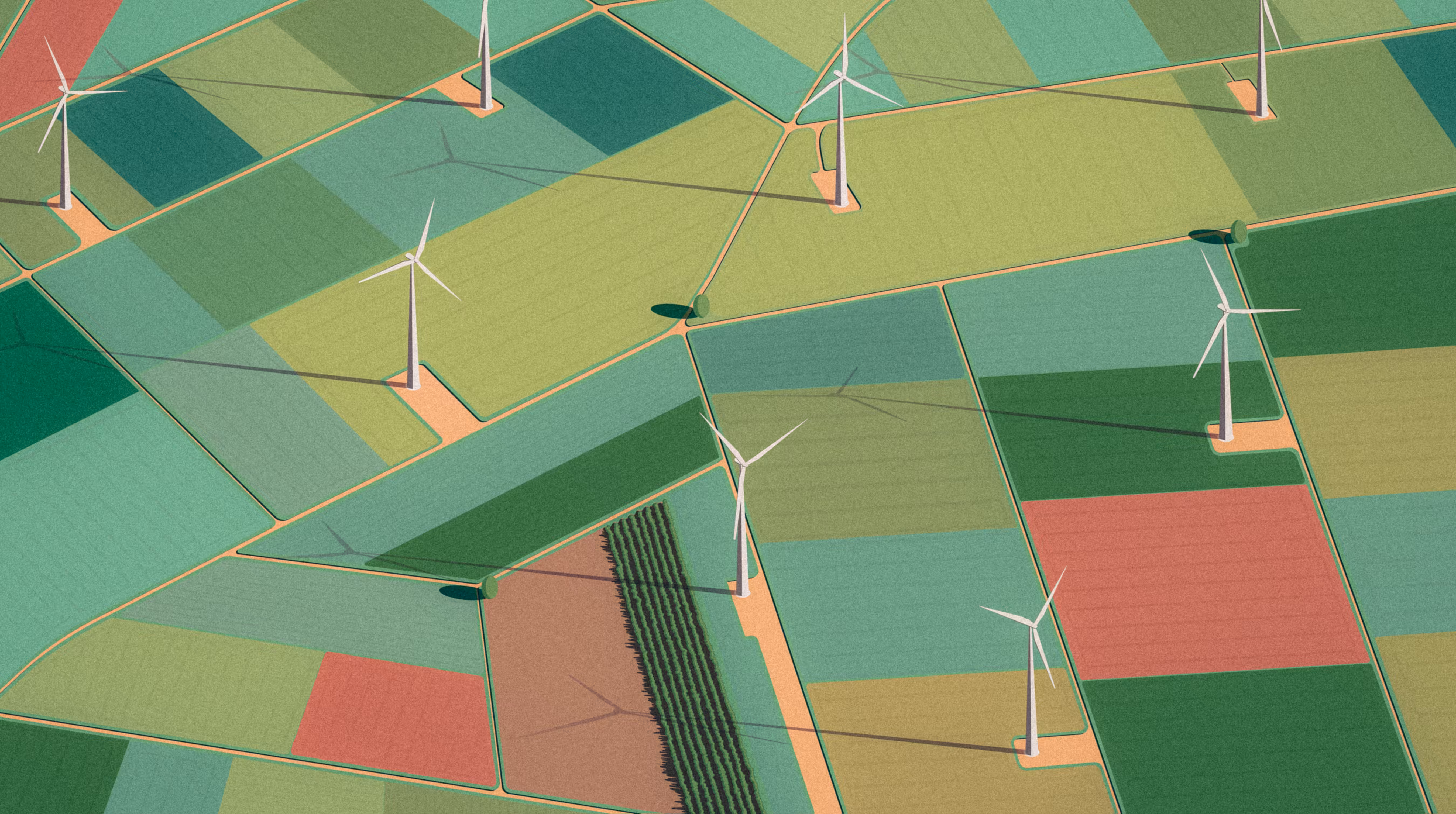 Windswept Field
