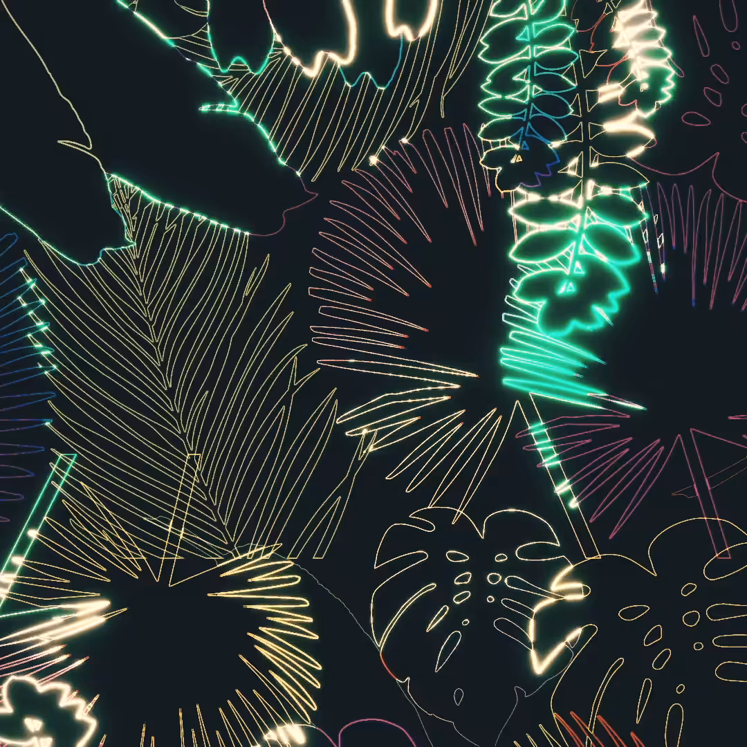 Tropical Winter