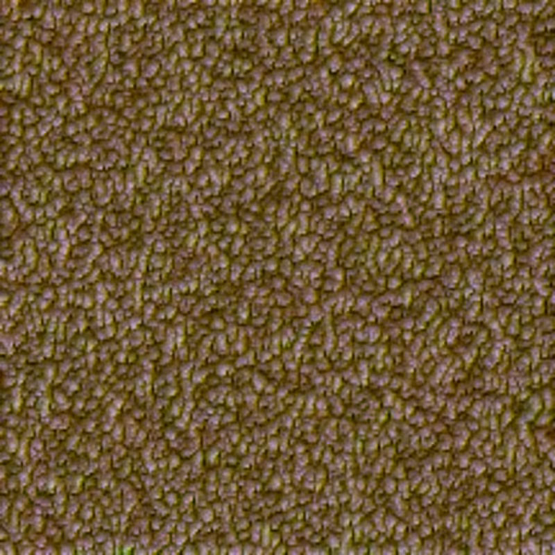 Scales #6