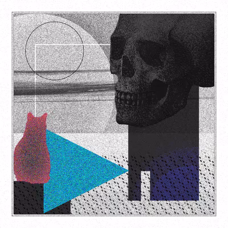Salem #10