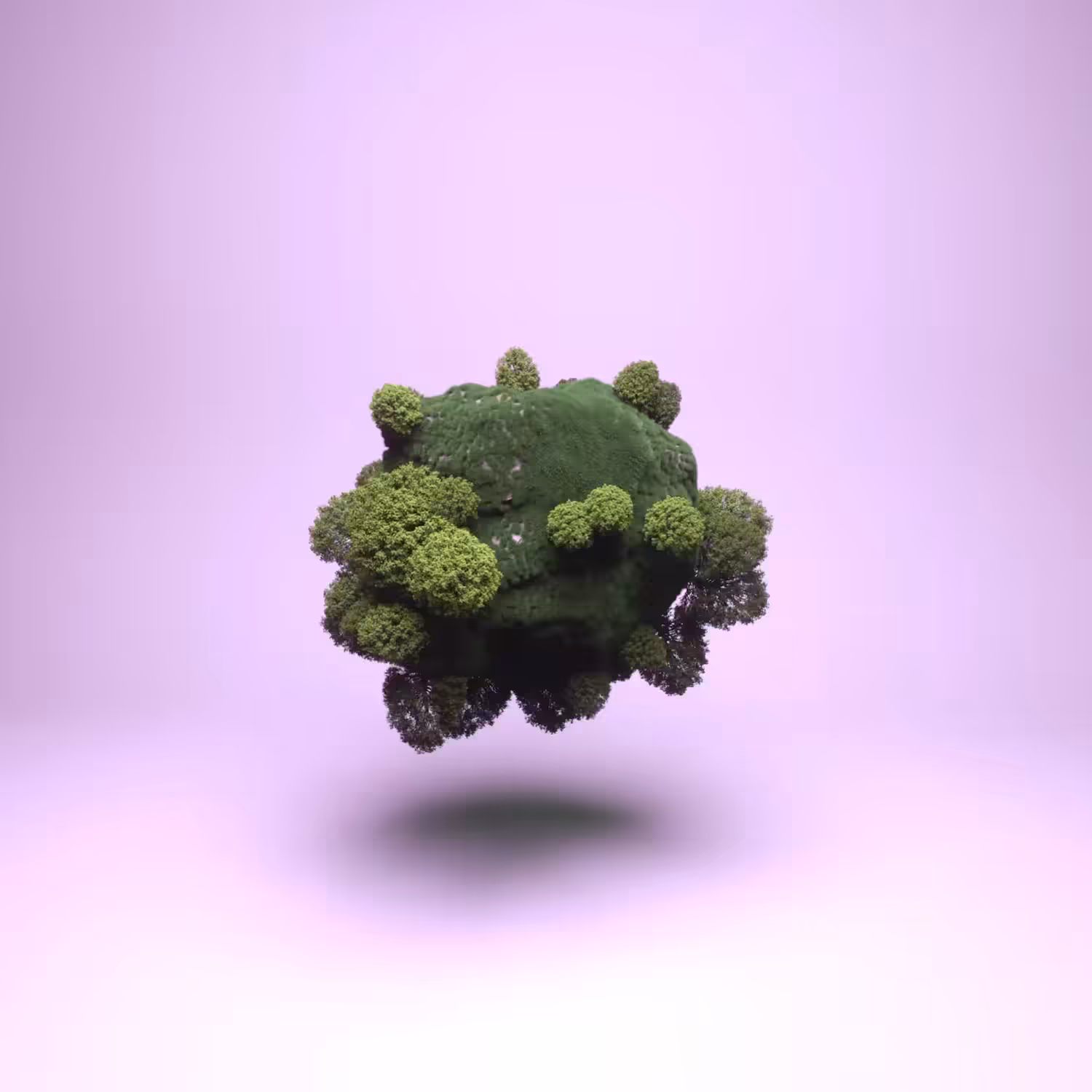 Little chunk of land