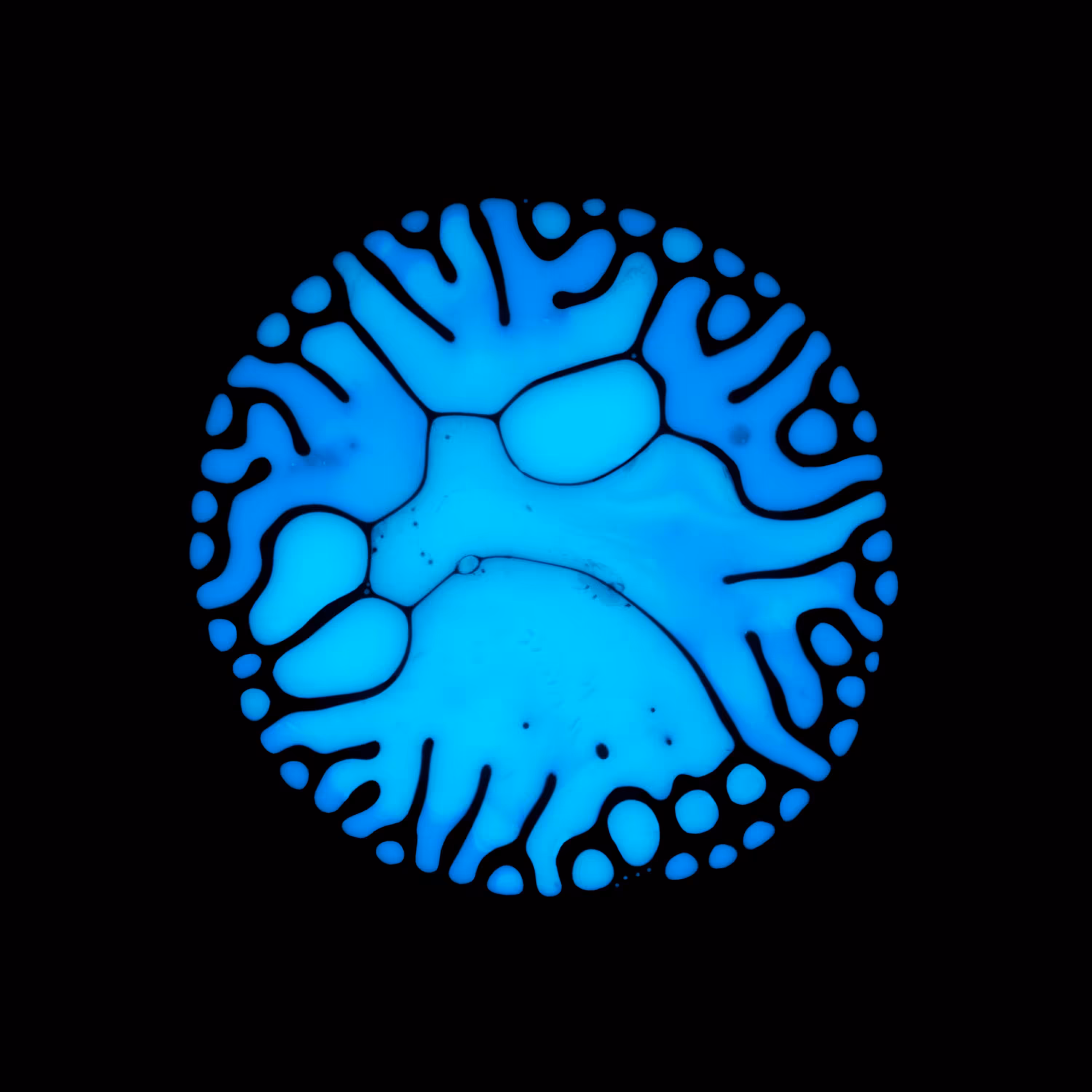 Haematopoiesis #31
