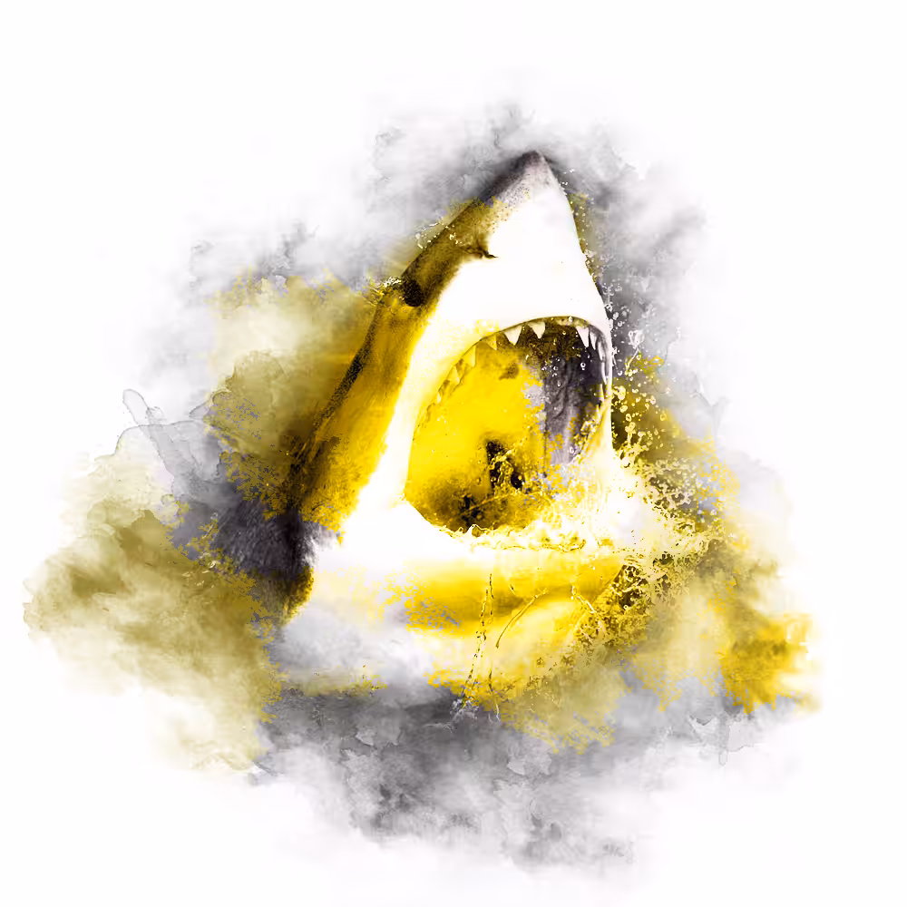 YELLOW SERIES - SHARK