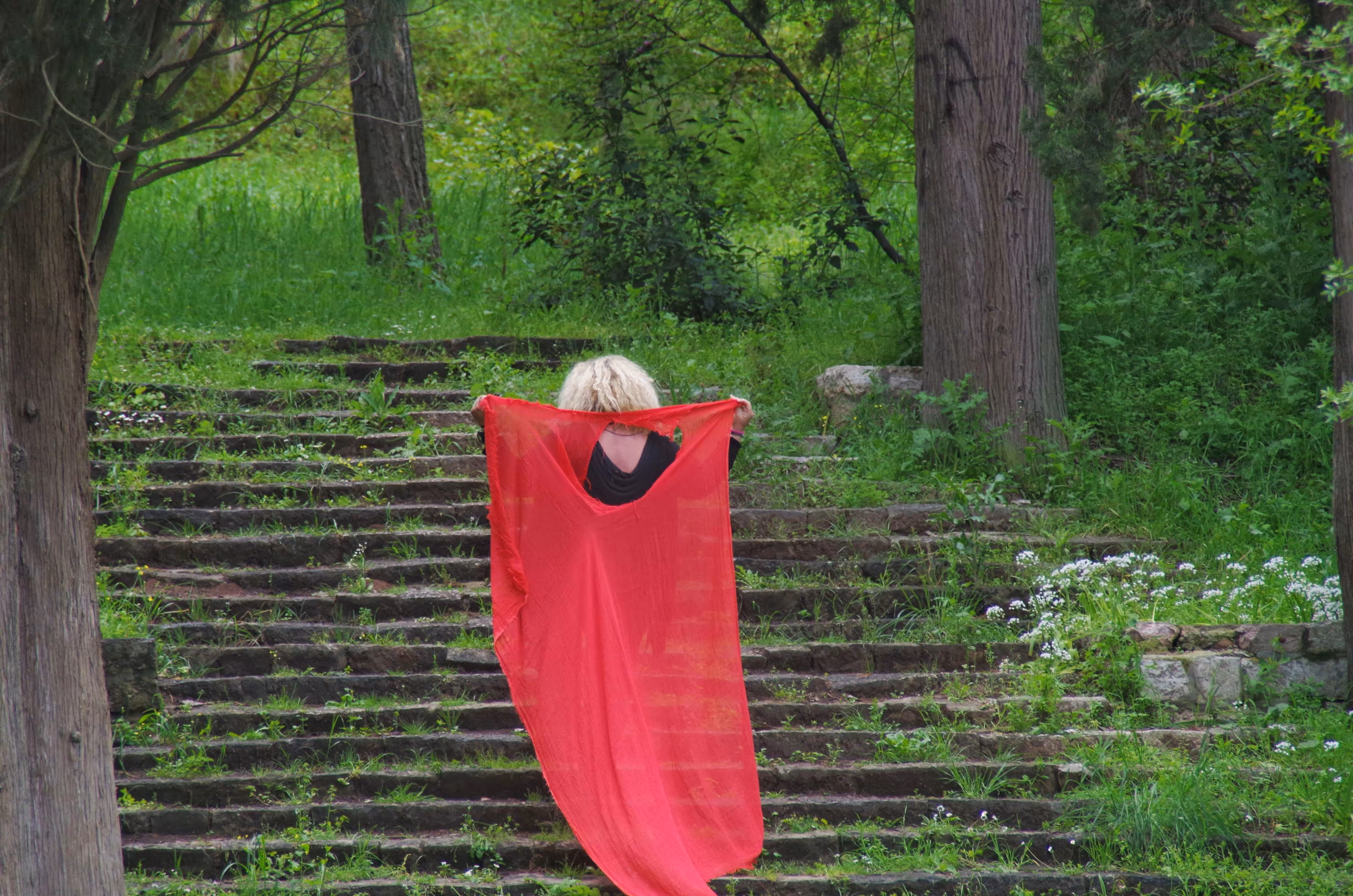 Looking for fairies