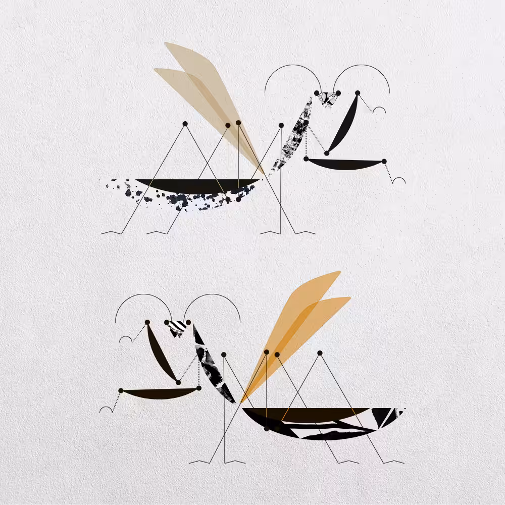 Mantis Abstraction #14
