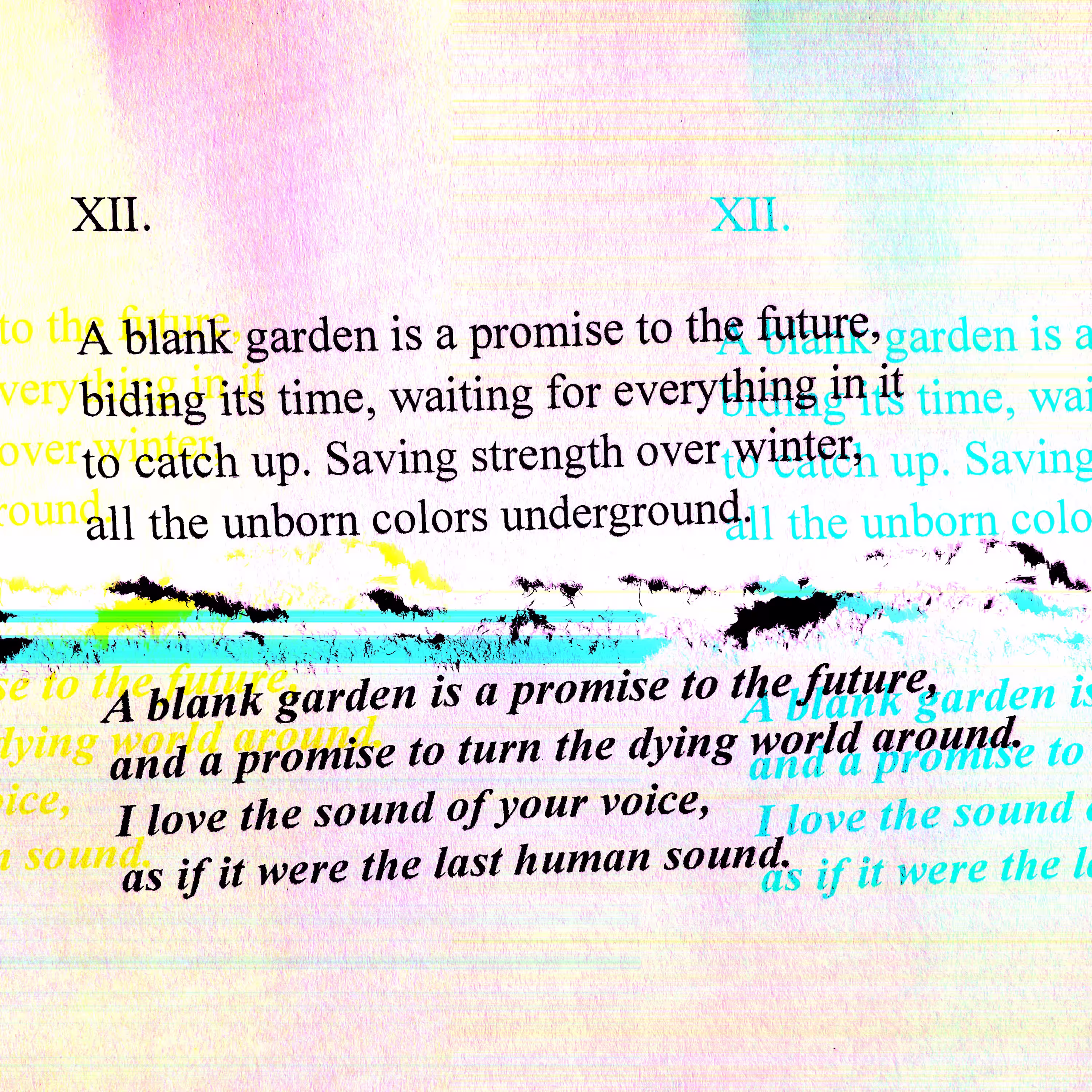 NEAR-FUTURE TRANSLATIONS: A blank garden is a promise to the future