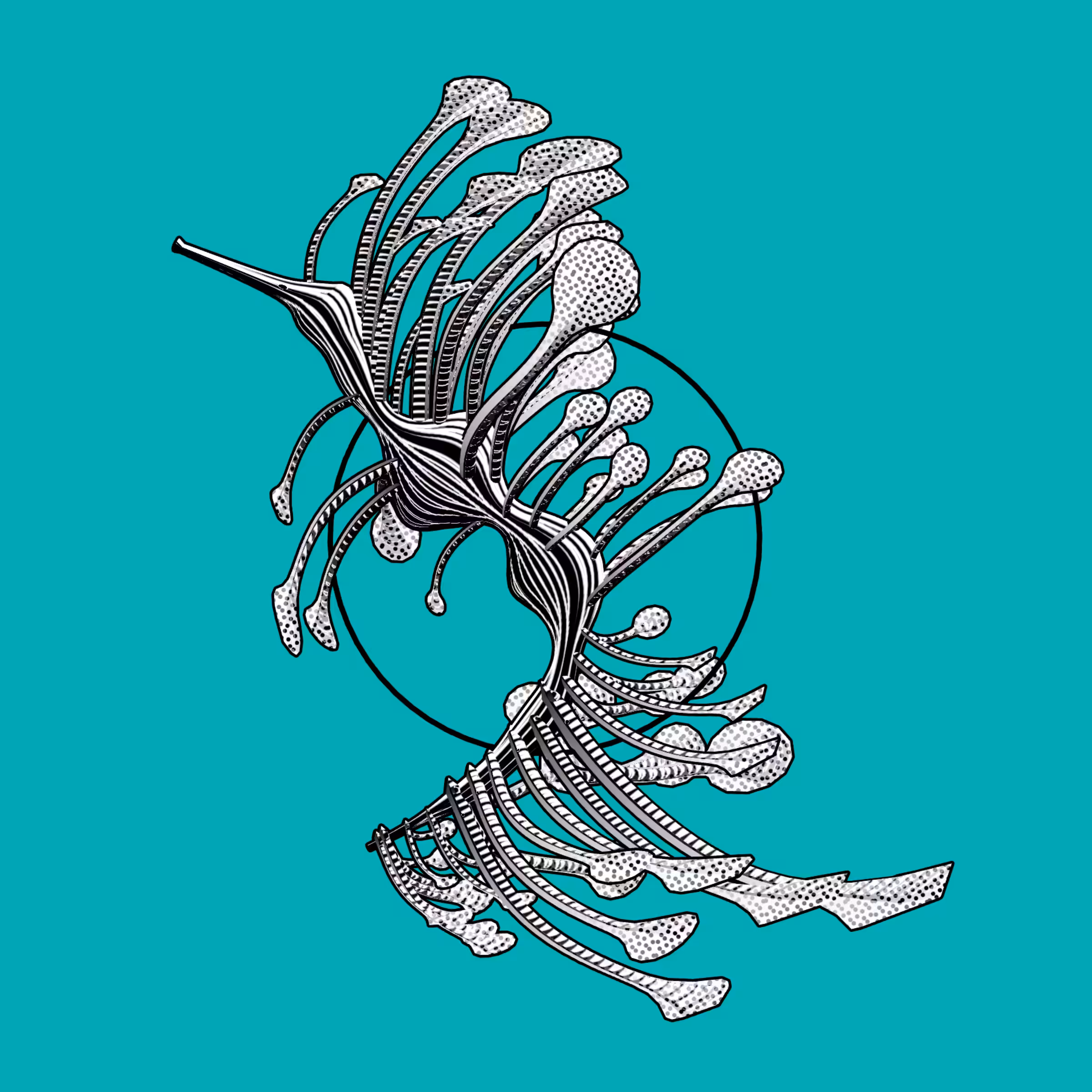 Seadragons #673