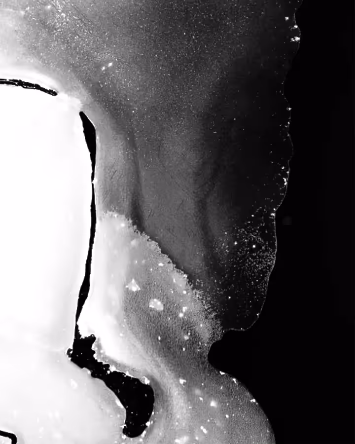 Study 010.1