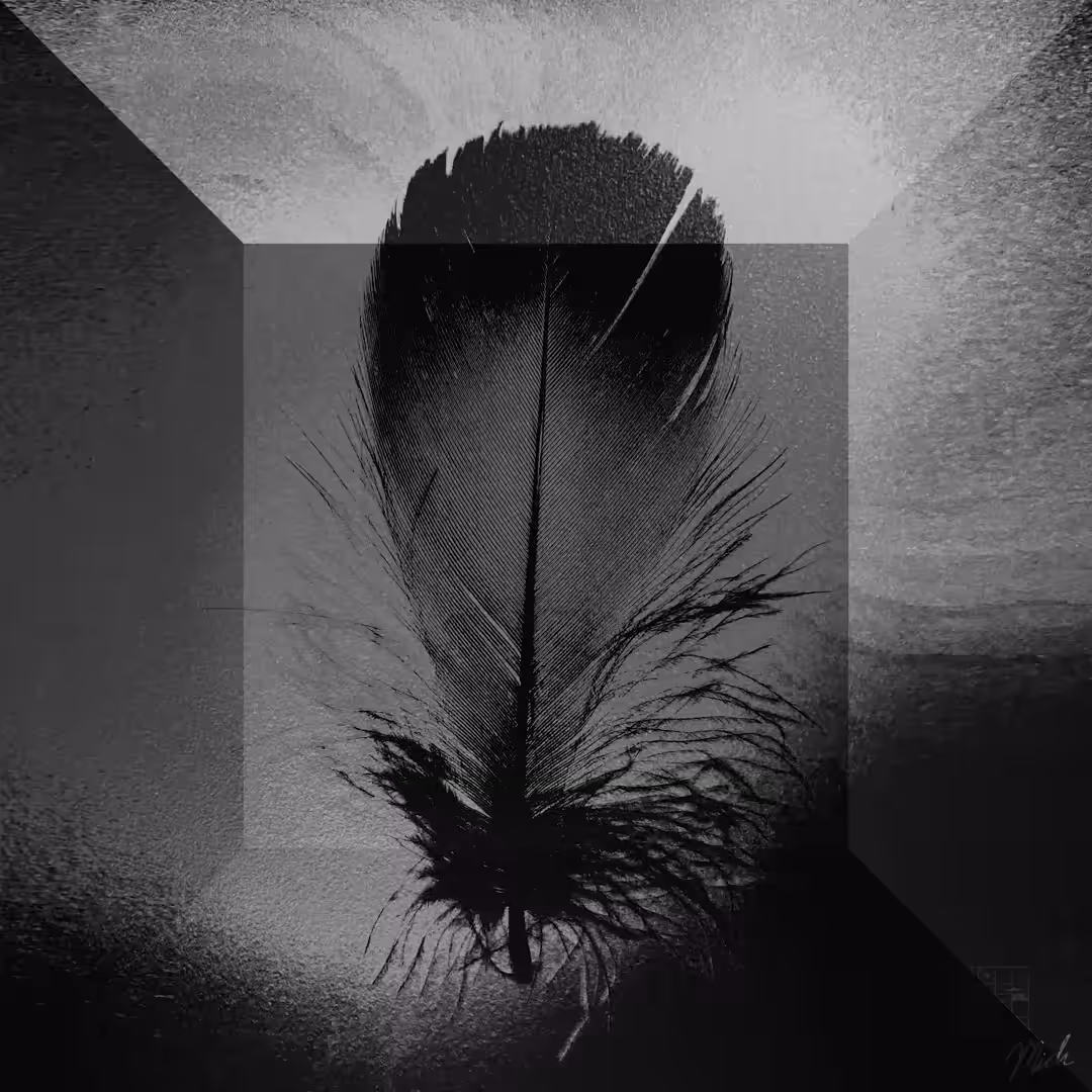 Feather from Fire #4