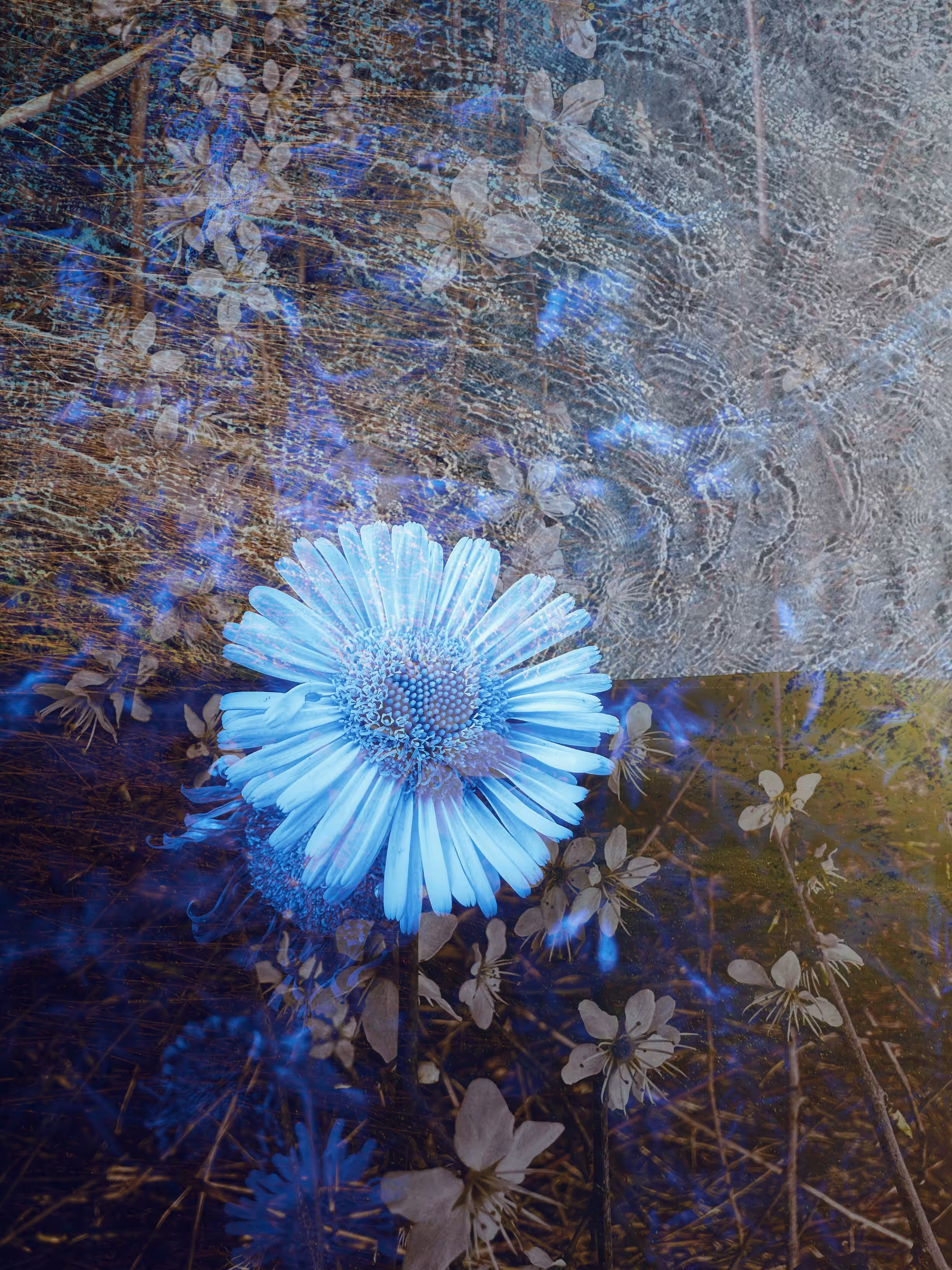 Forgotten Azure