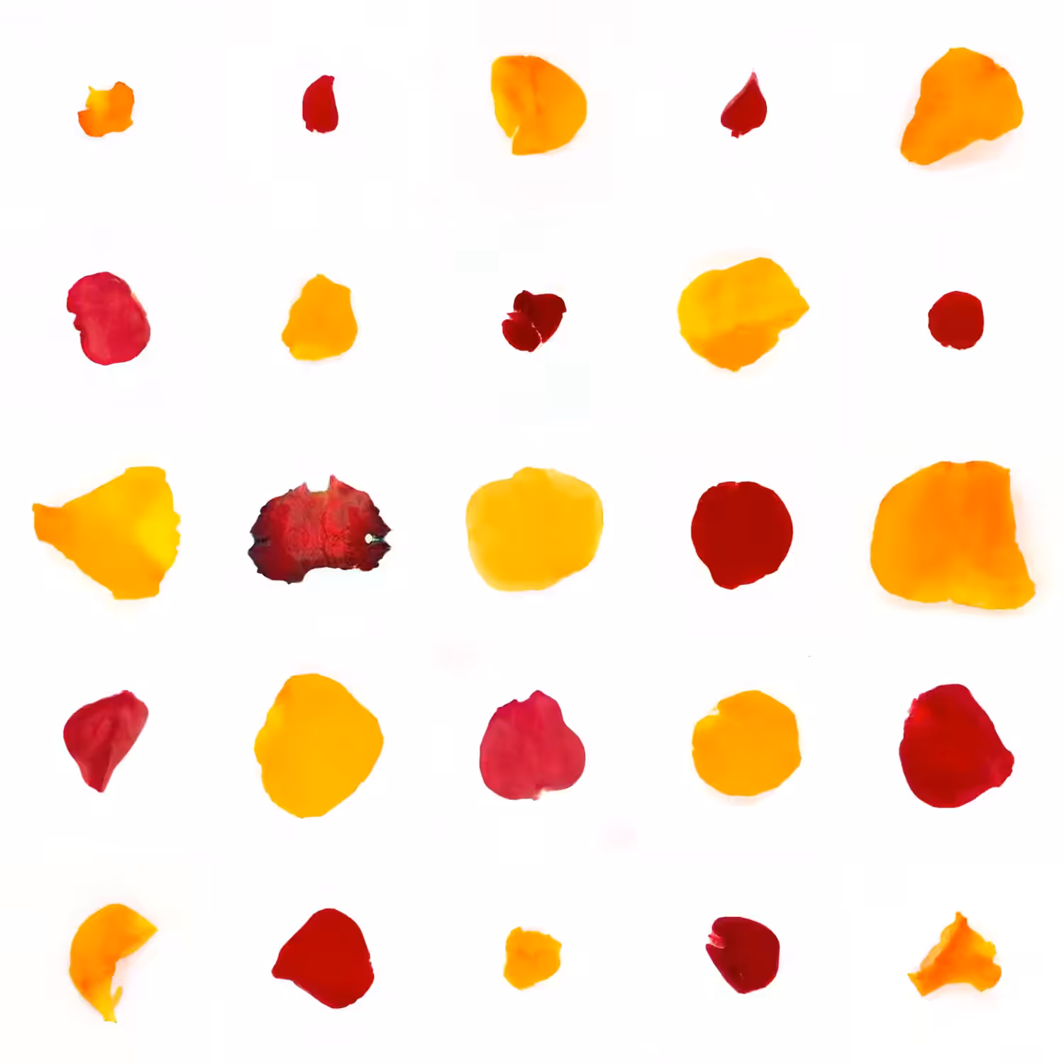 Infinite Petals 5x5#20534