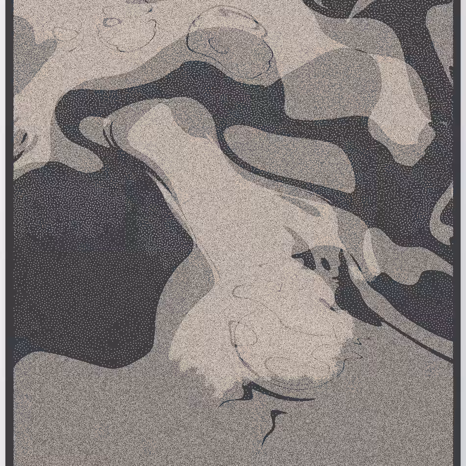 Caustics #36