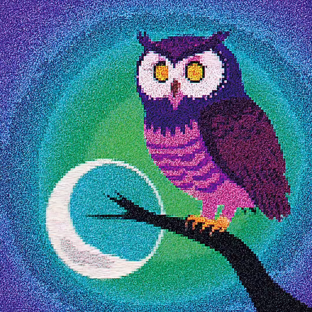 Hoot