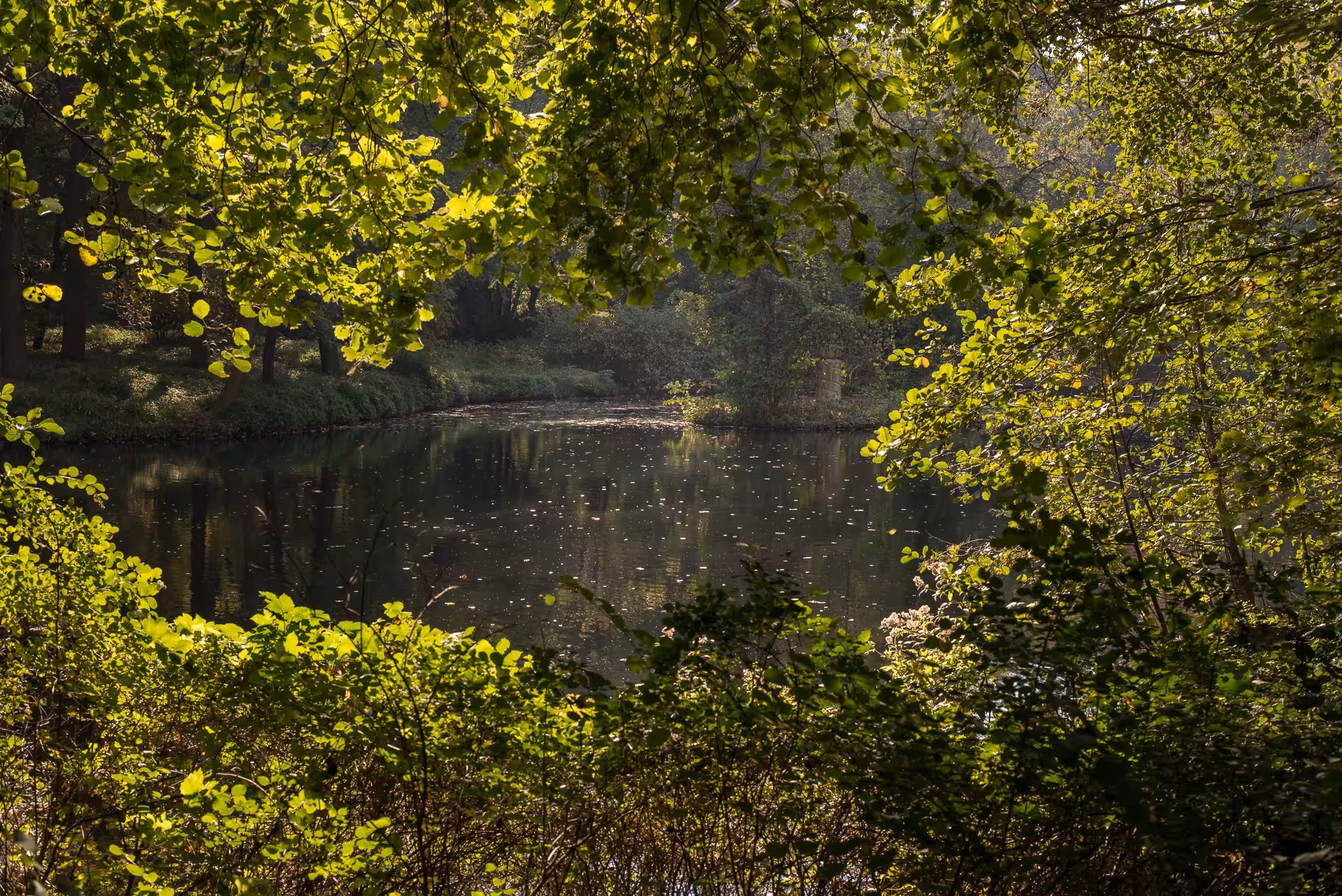 golden green