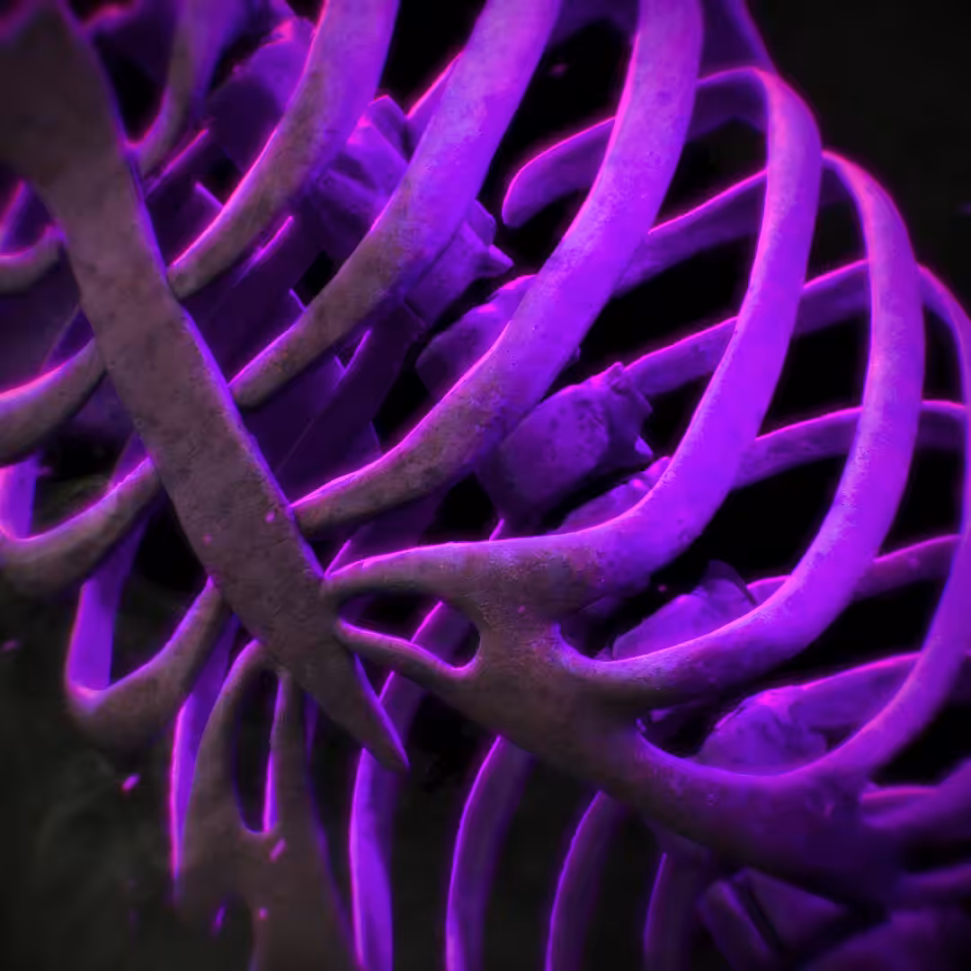 RIBCAGE