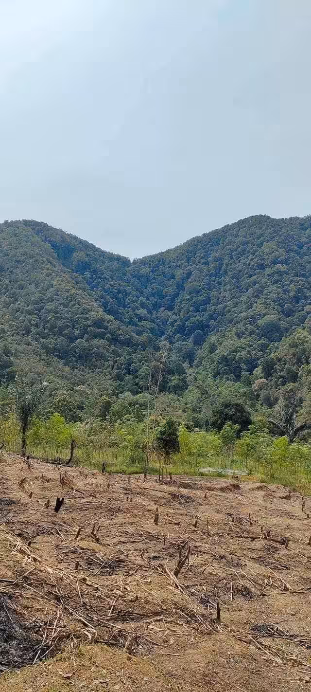 Wonderful Hometown