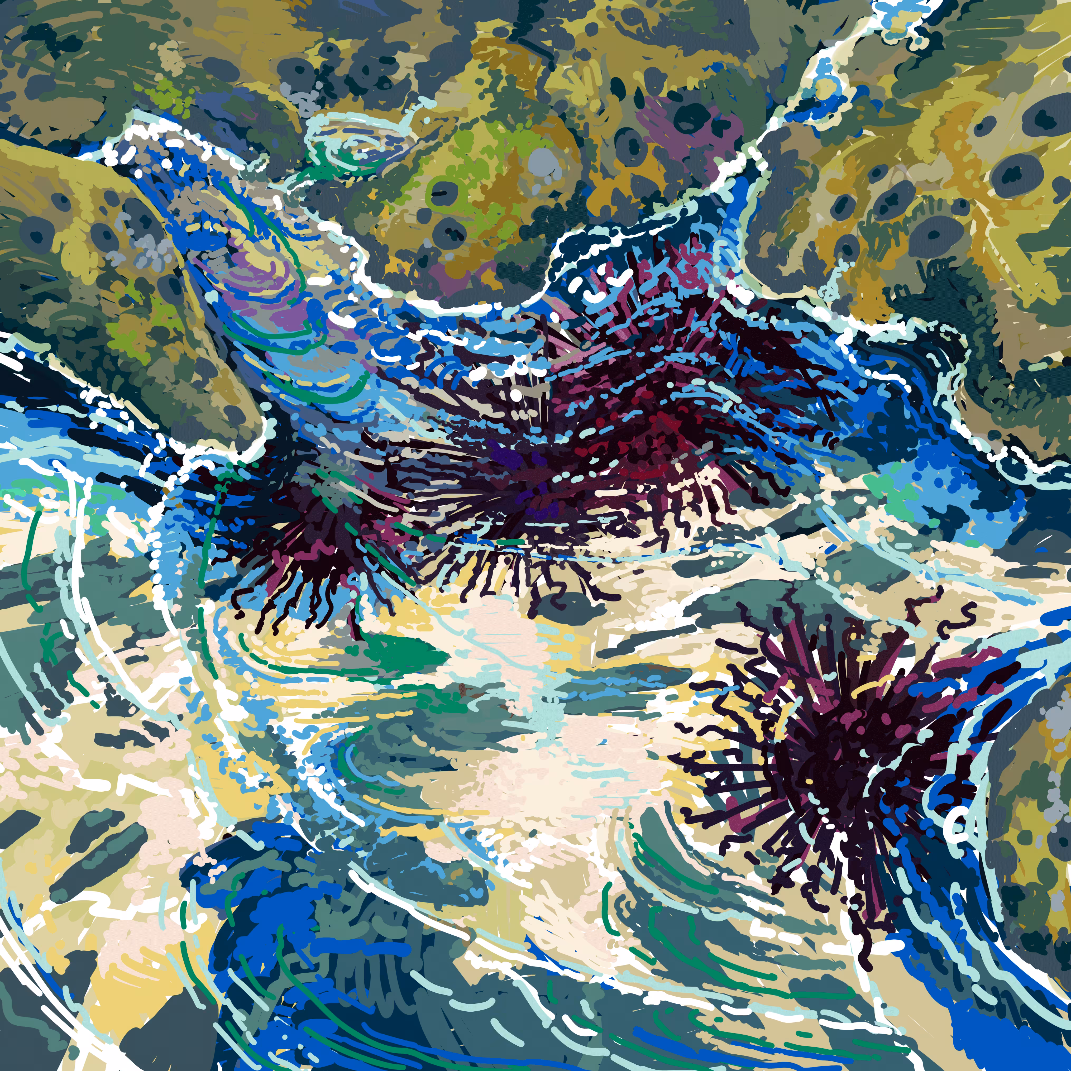 Impressions of the sea: Urchin Tide Pool