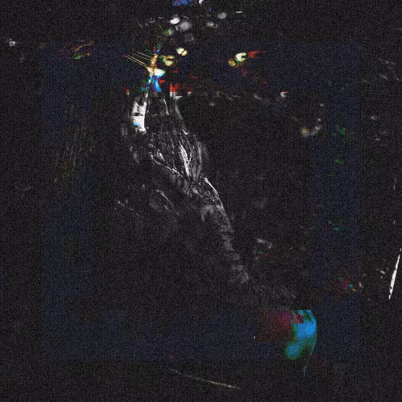 In the forest #10